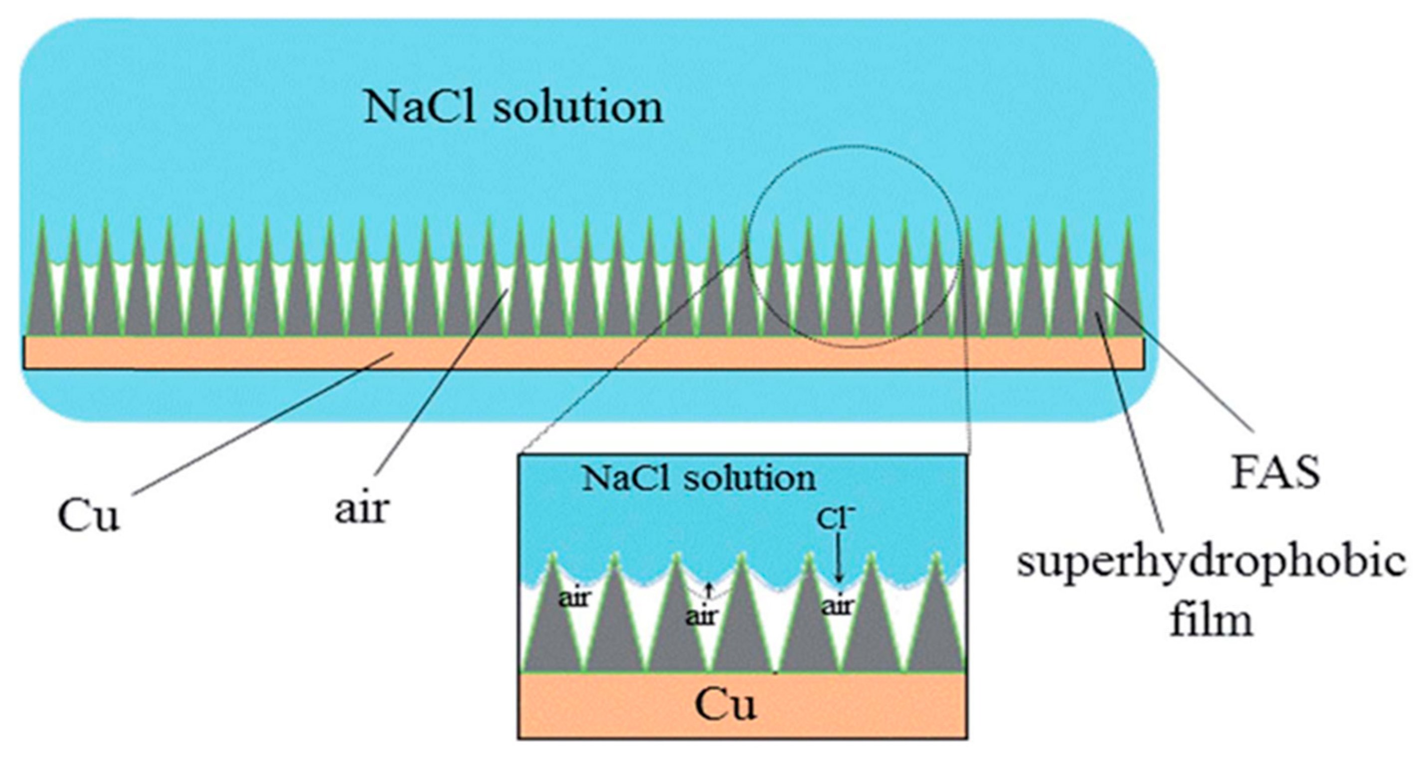 Coatings 14 01196 g011