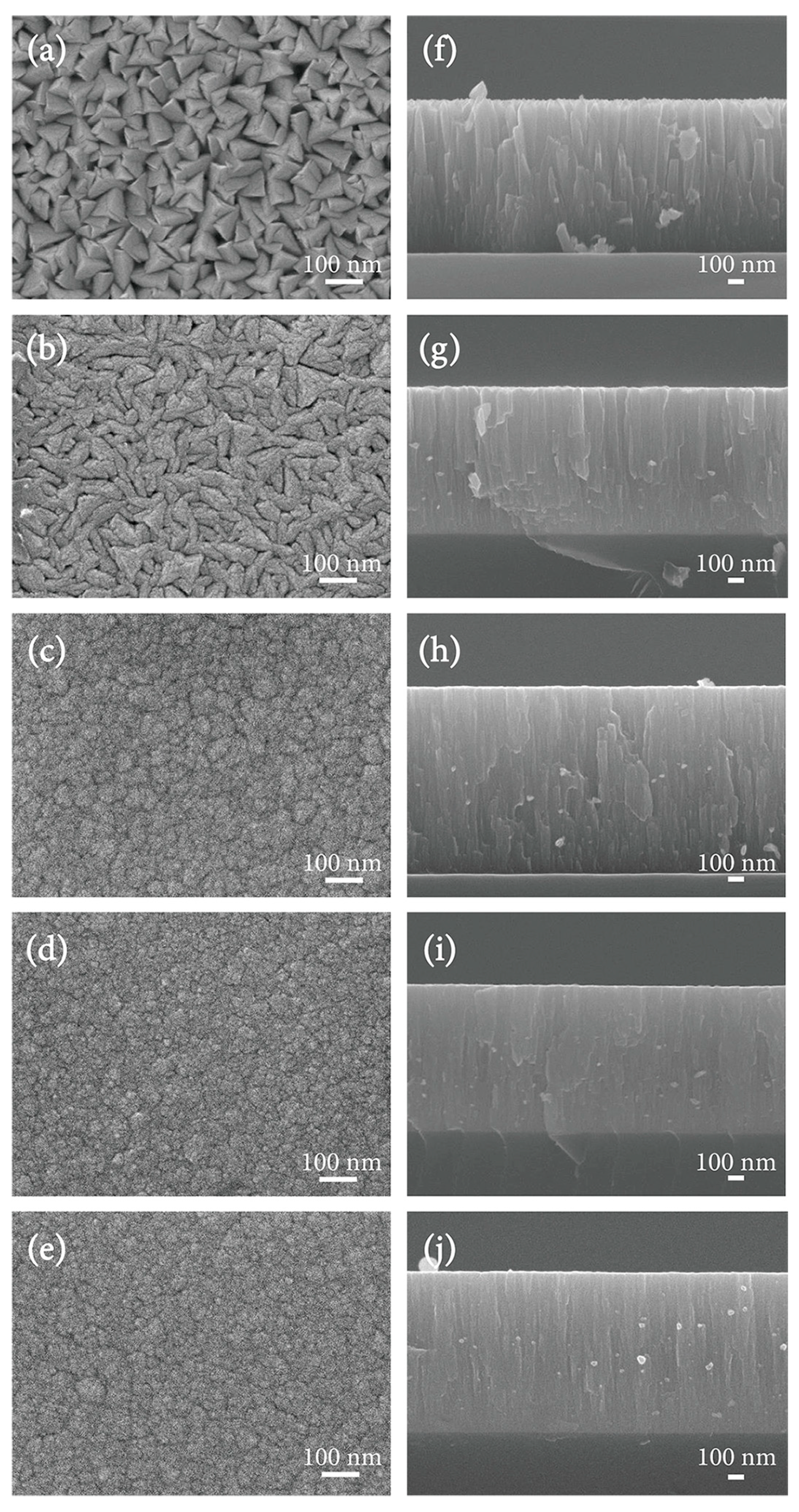 Coatings 14 01199 g004