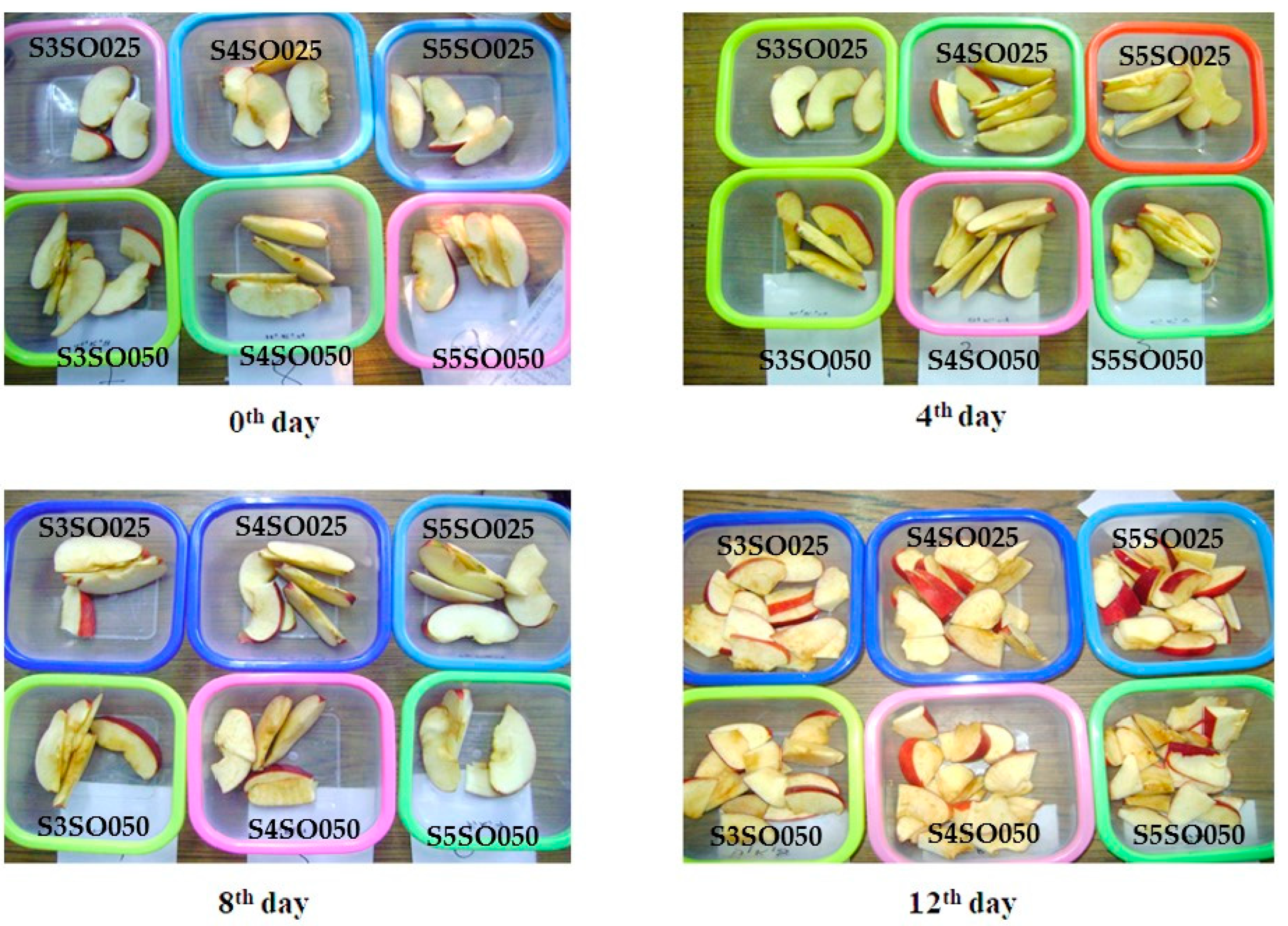 Coatings 14 01202 g002 Coatings 14 01202 g002
