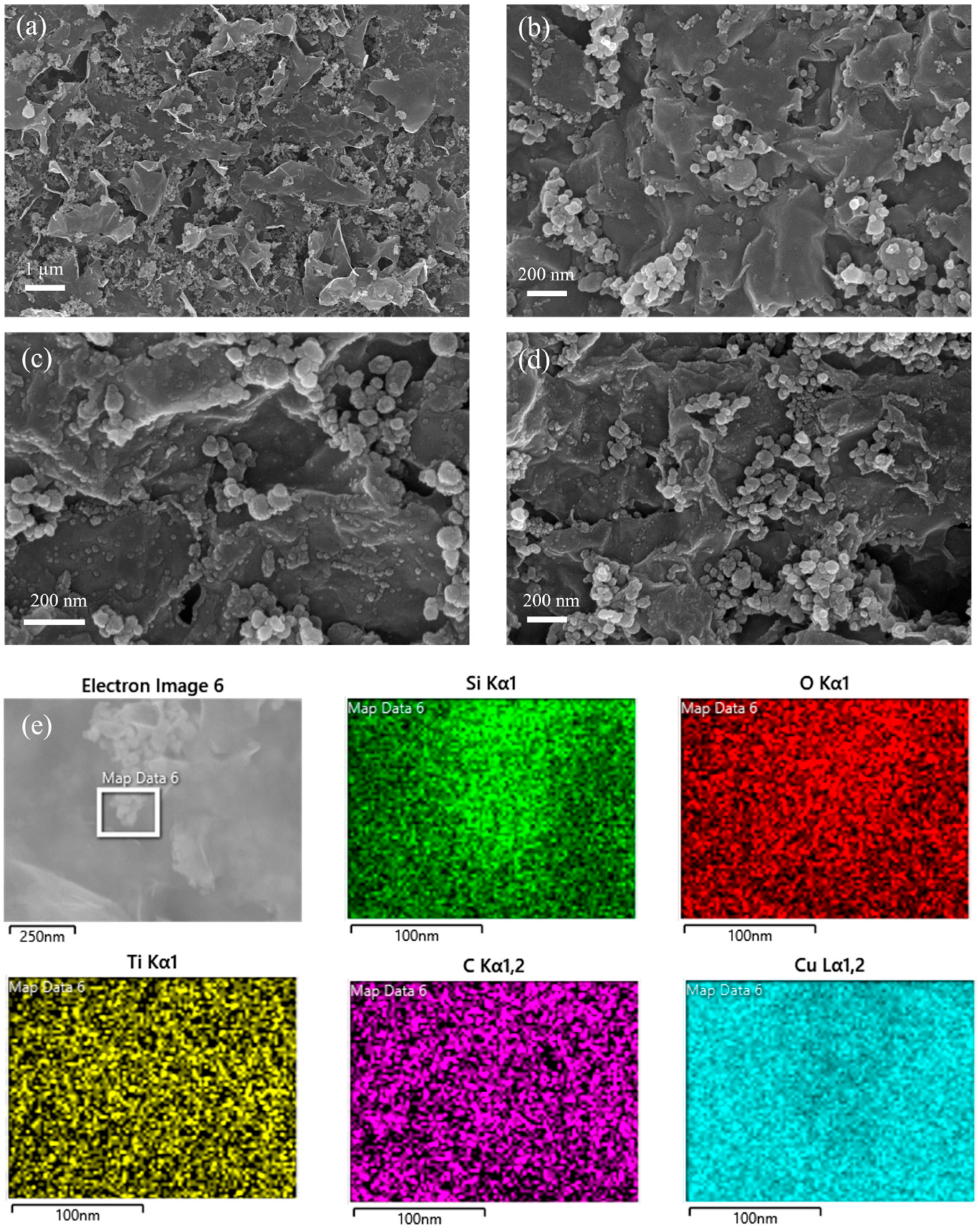 Coatings 14 01210 g005