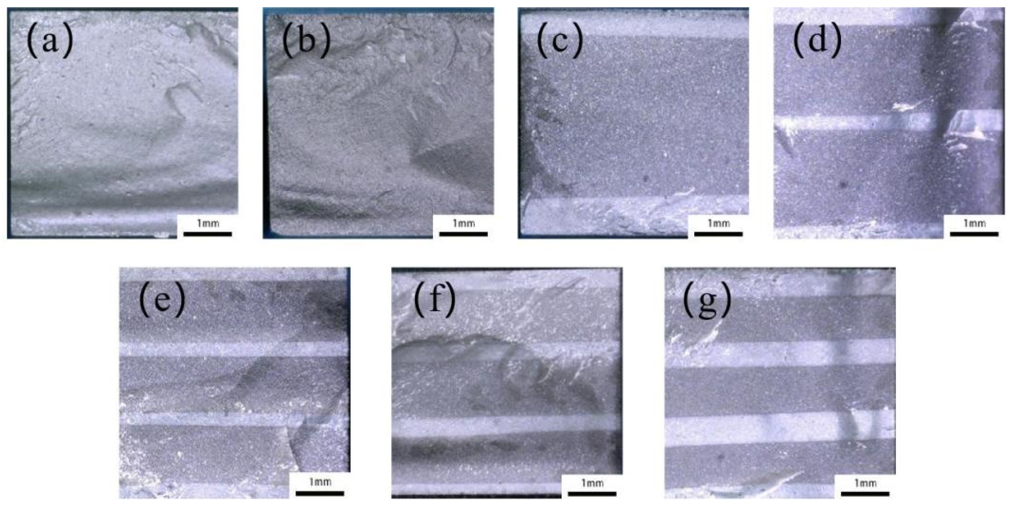 Coatings 14 01218 g009