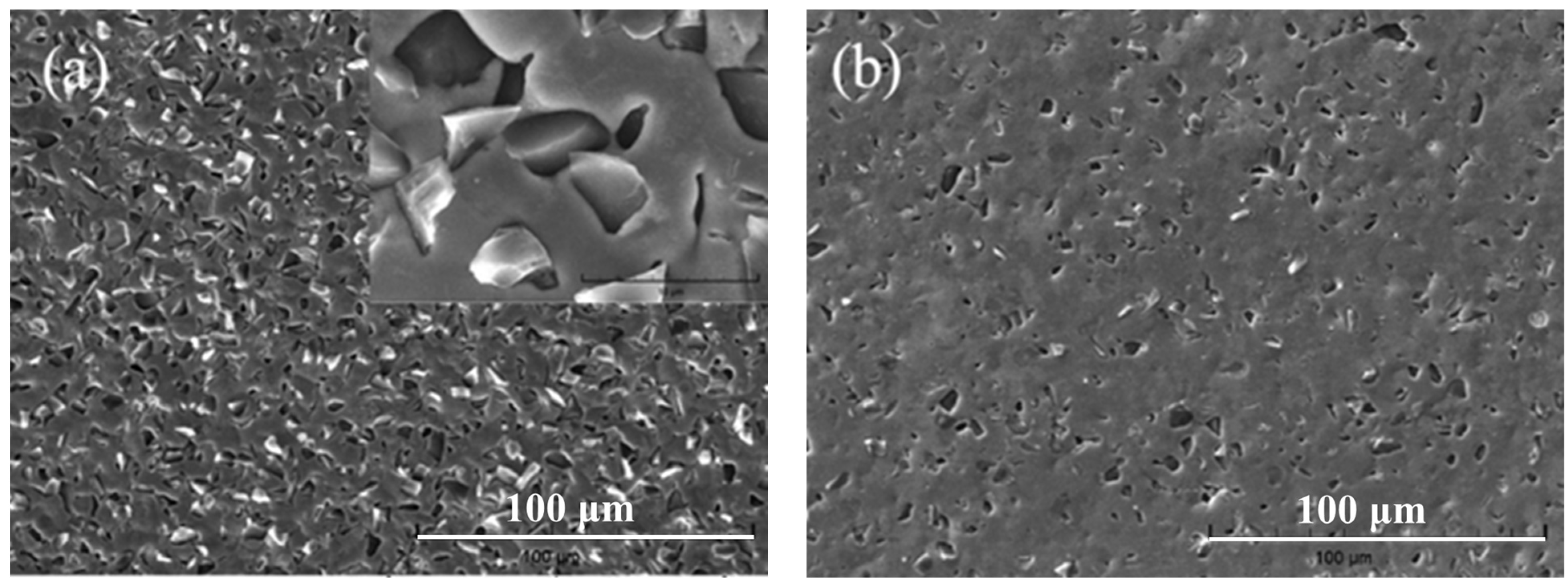 Coatings 14 01224 g002a