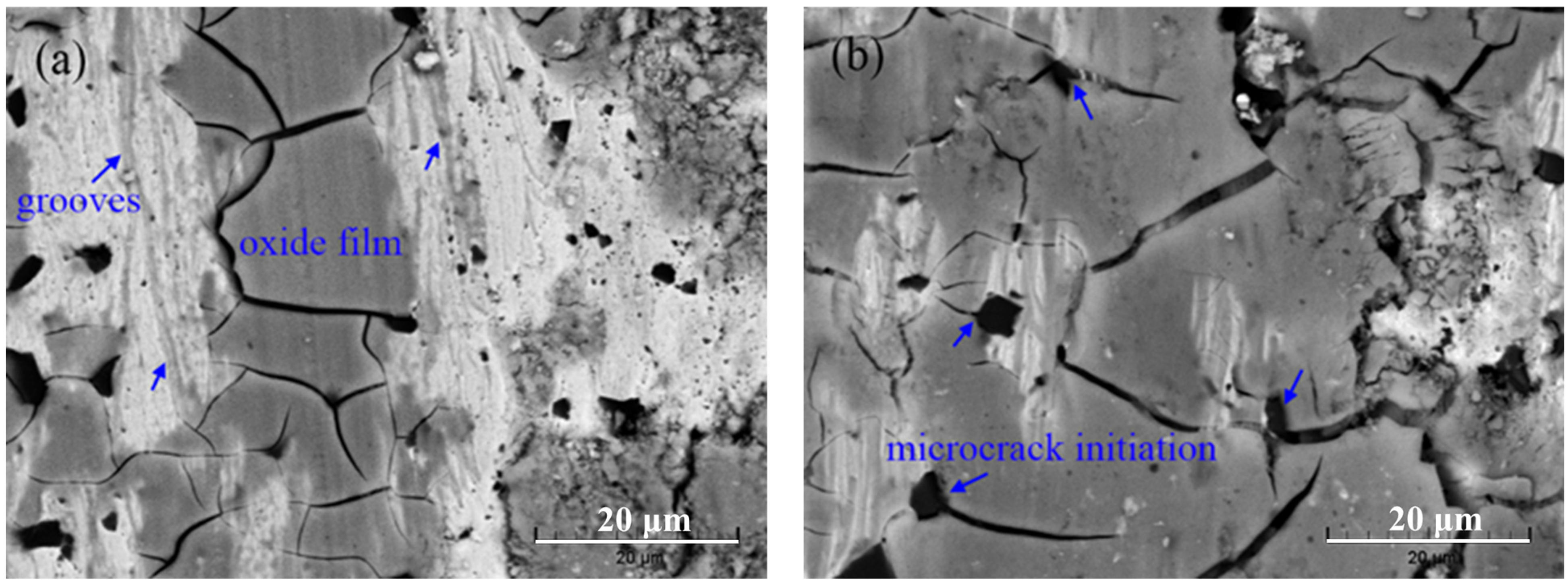 Coatings 14 01224 g010