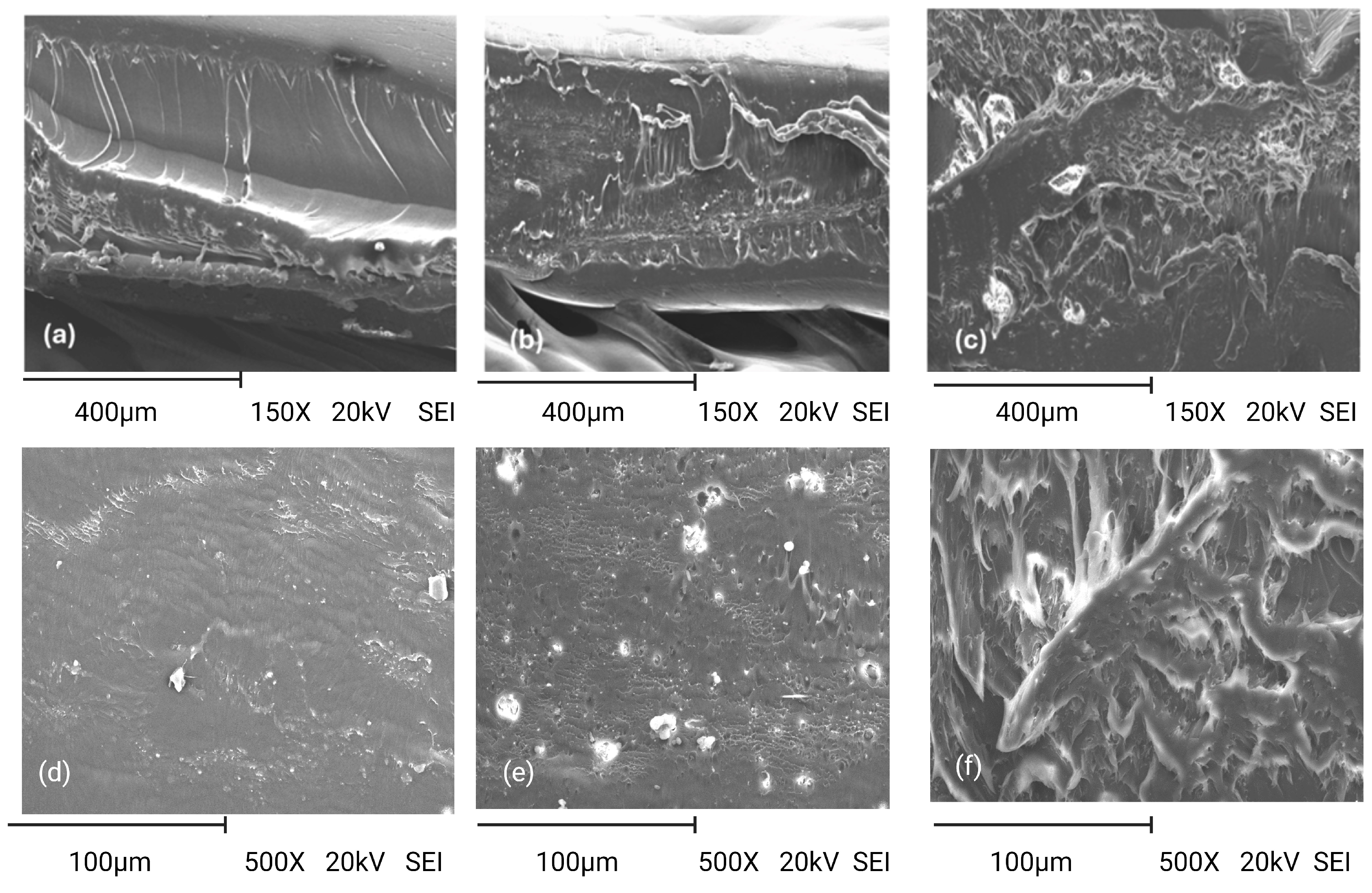 Coatings 14 01232 g004 Coatings 14 01232 g004