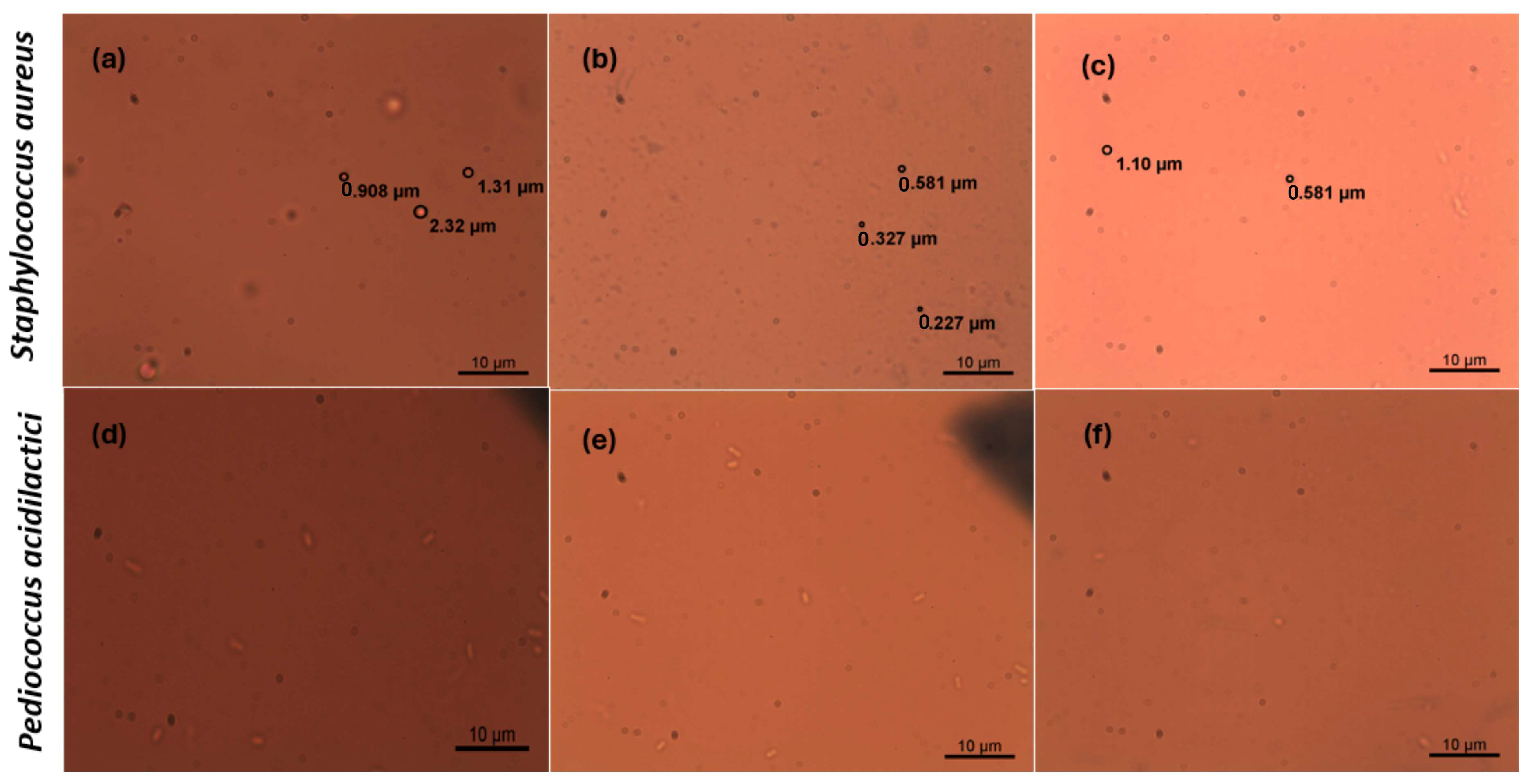 Coatings 14 01232 g008 Coatings 14 01232 g008