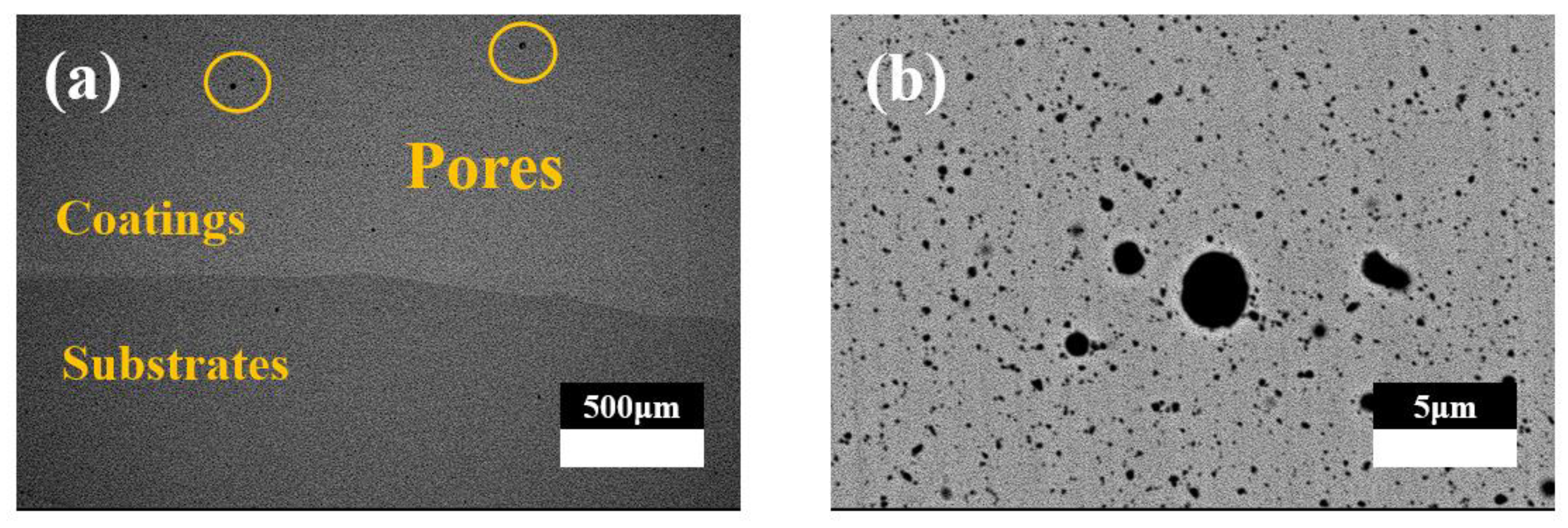 Coatings 14 01235 g007