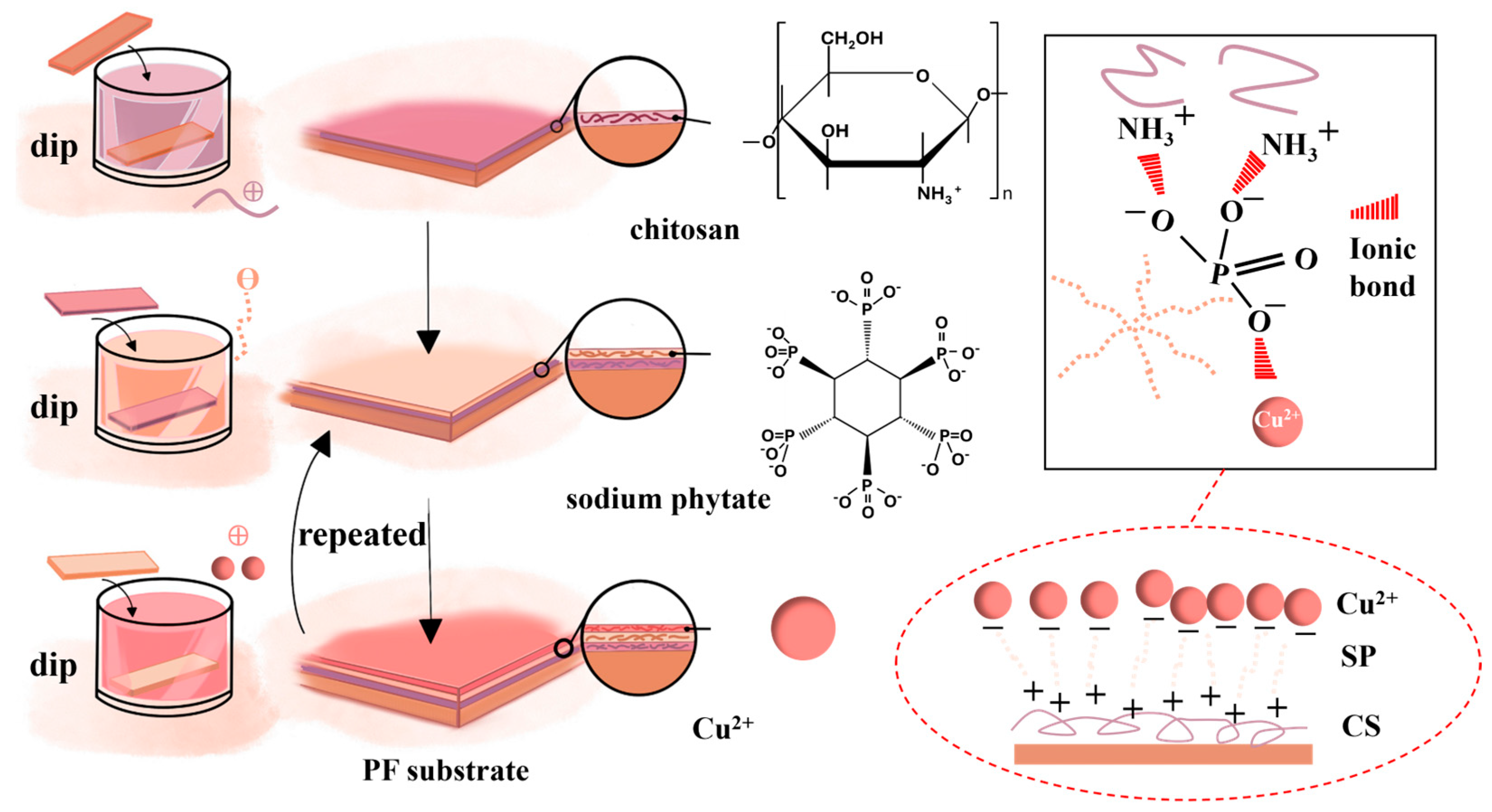 Coatings 14 01236 g001