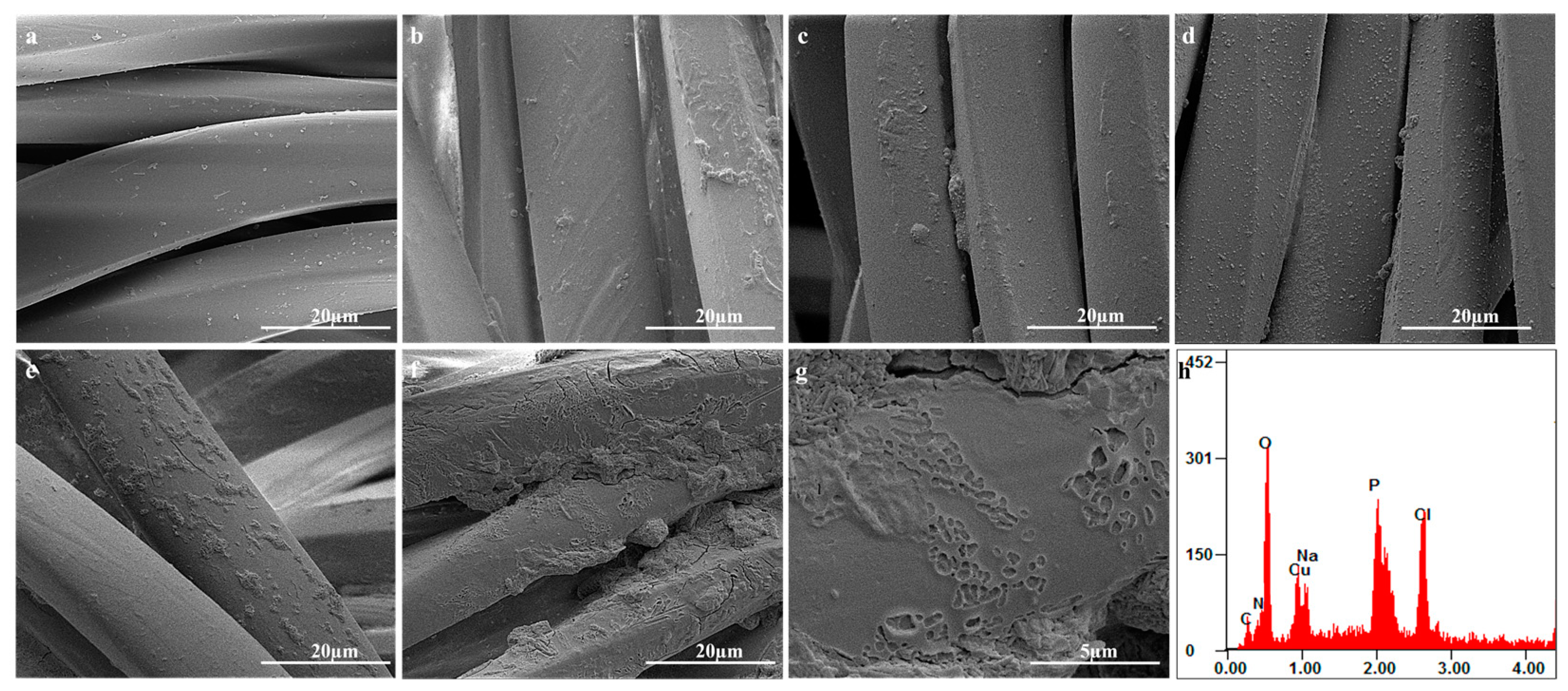 Coatings 14 01236 g002