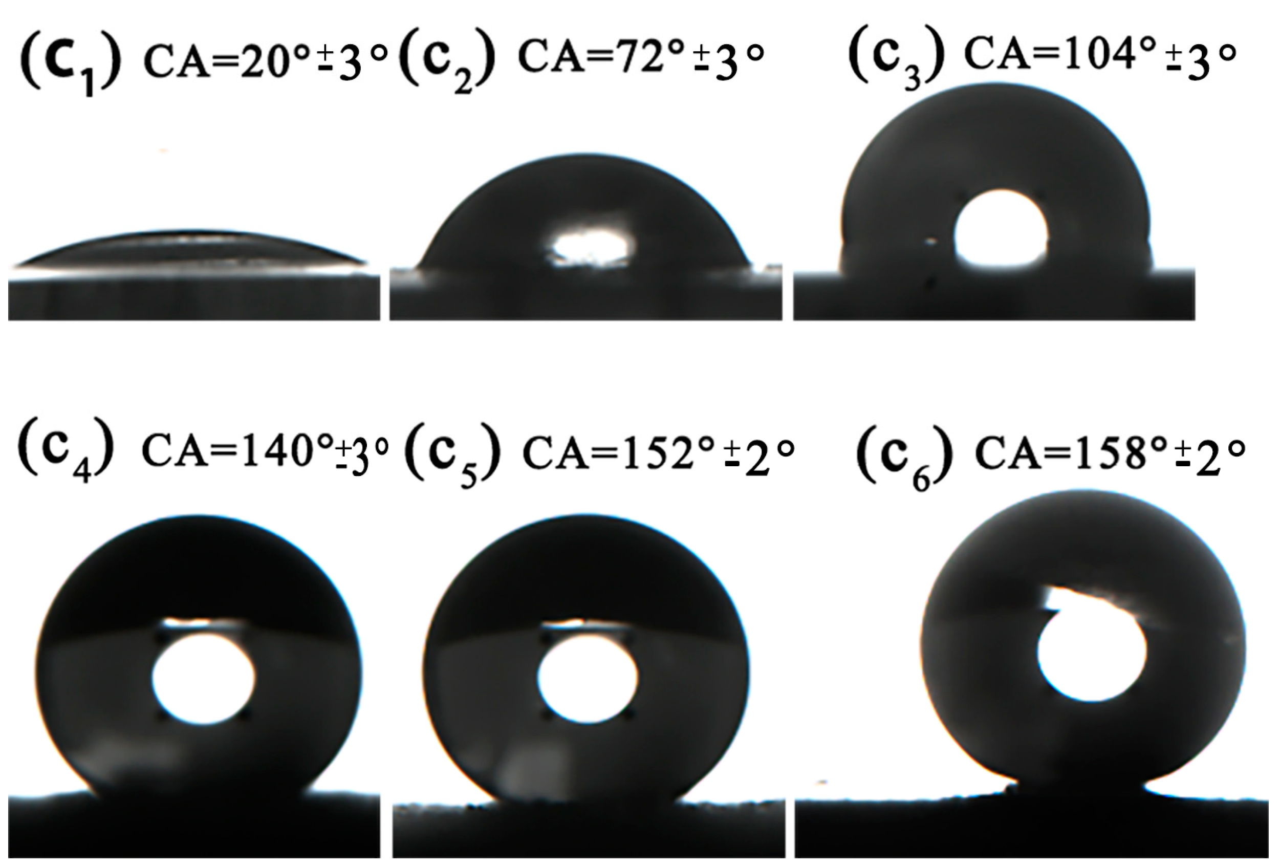 Coatings 14 01237 g005