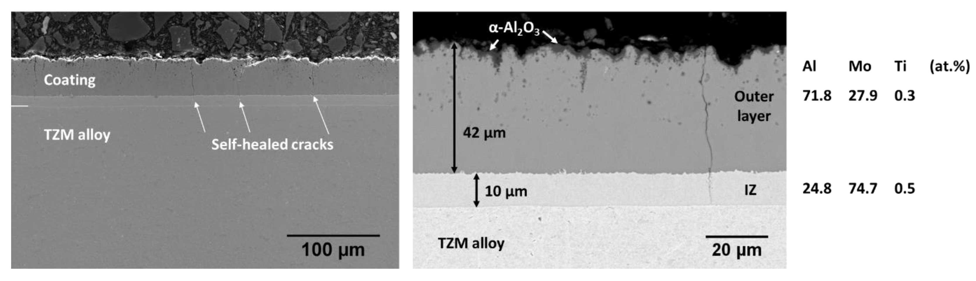 Coatings 14 01243 g012