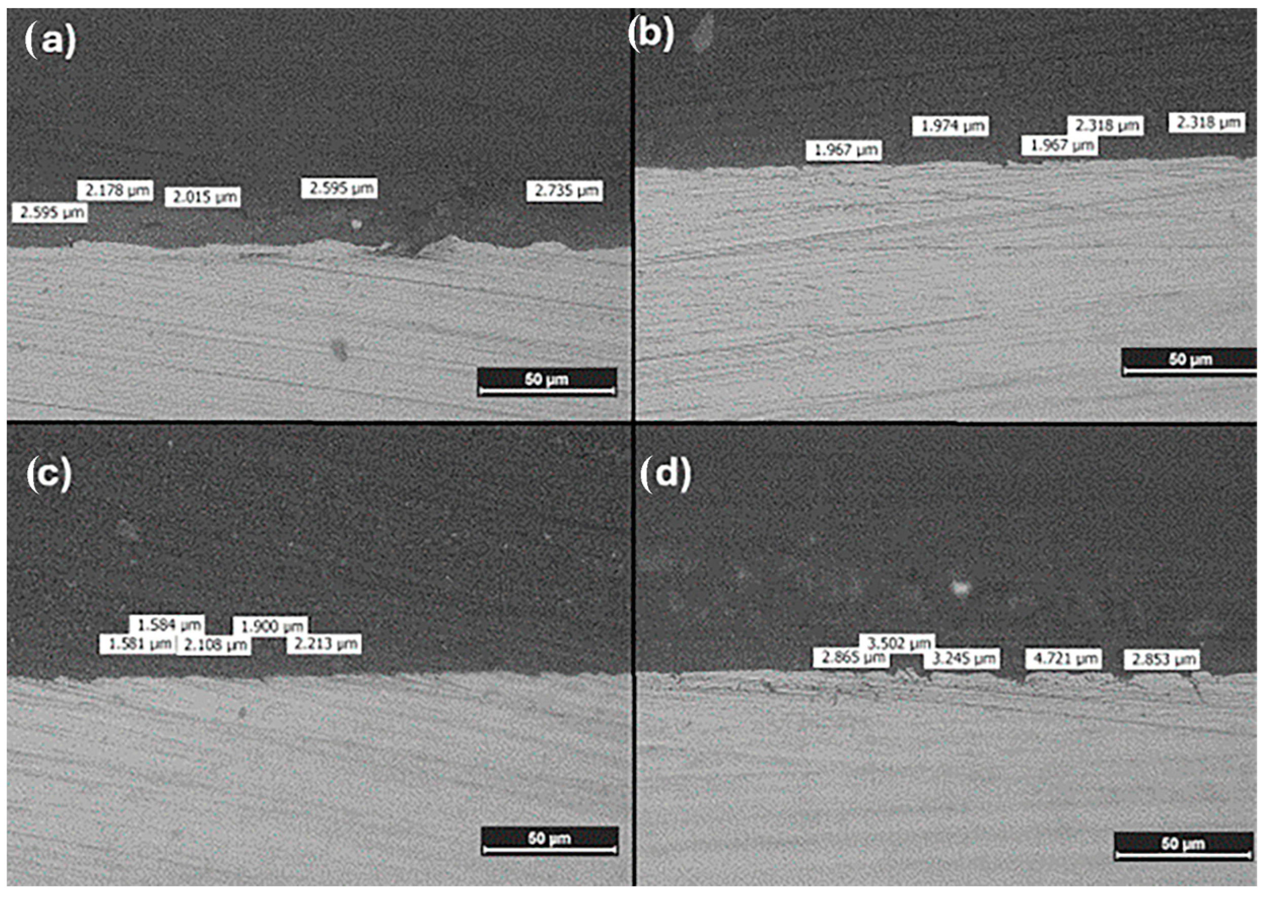 Coatings 14 01244 g005