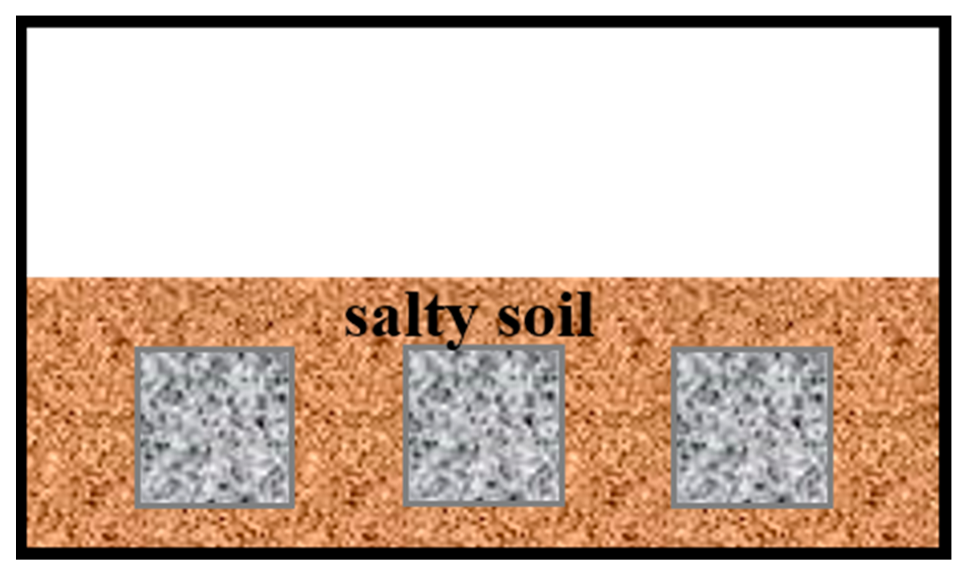 Coatings 14 01249 g001