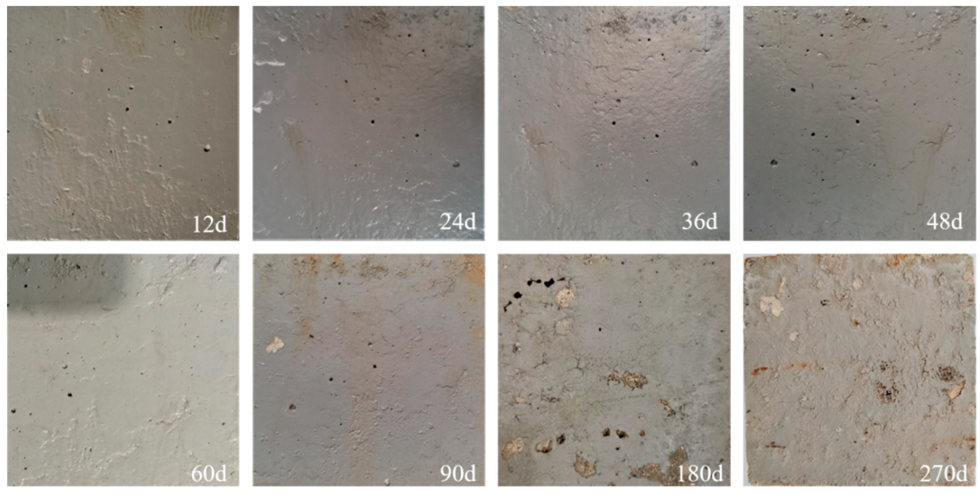 Coatings 14 01249 g007