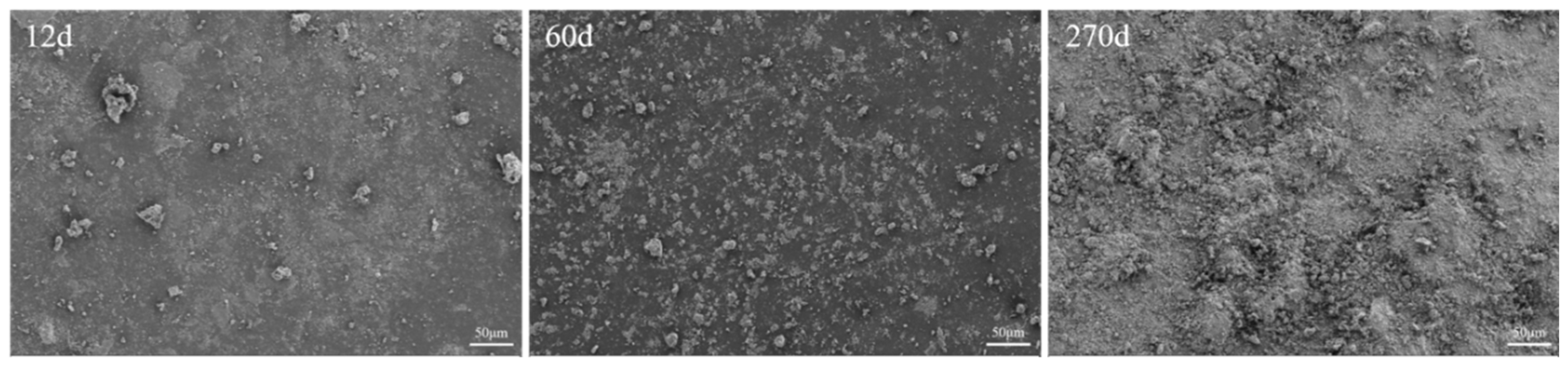 Coatings 14 01249 g016