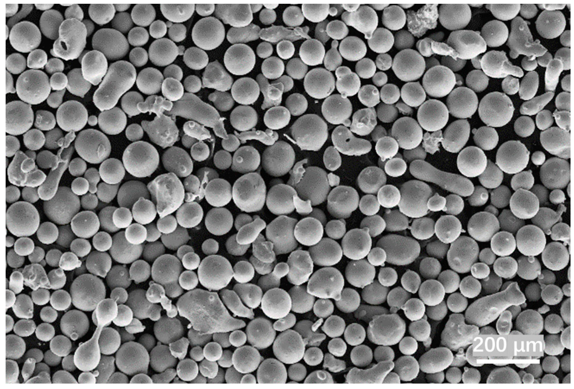 Coatings 14 01251 g001