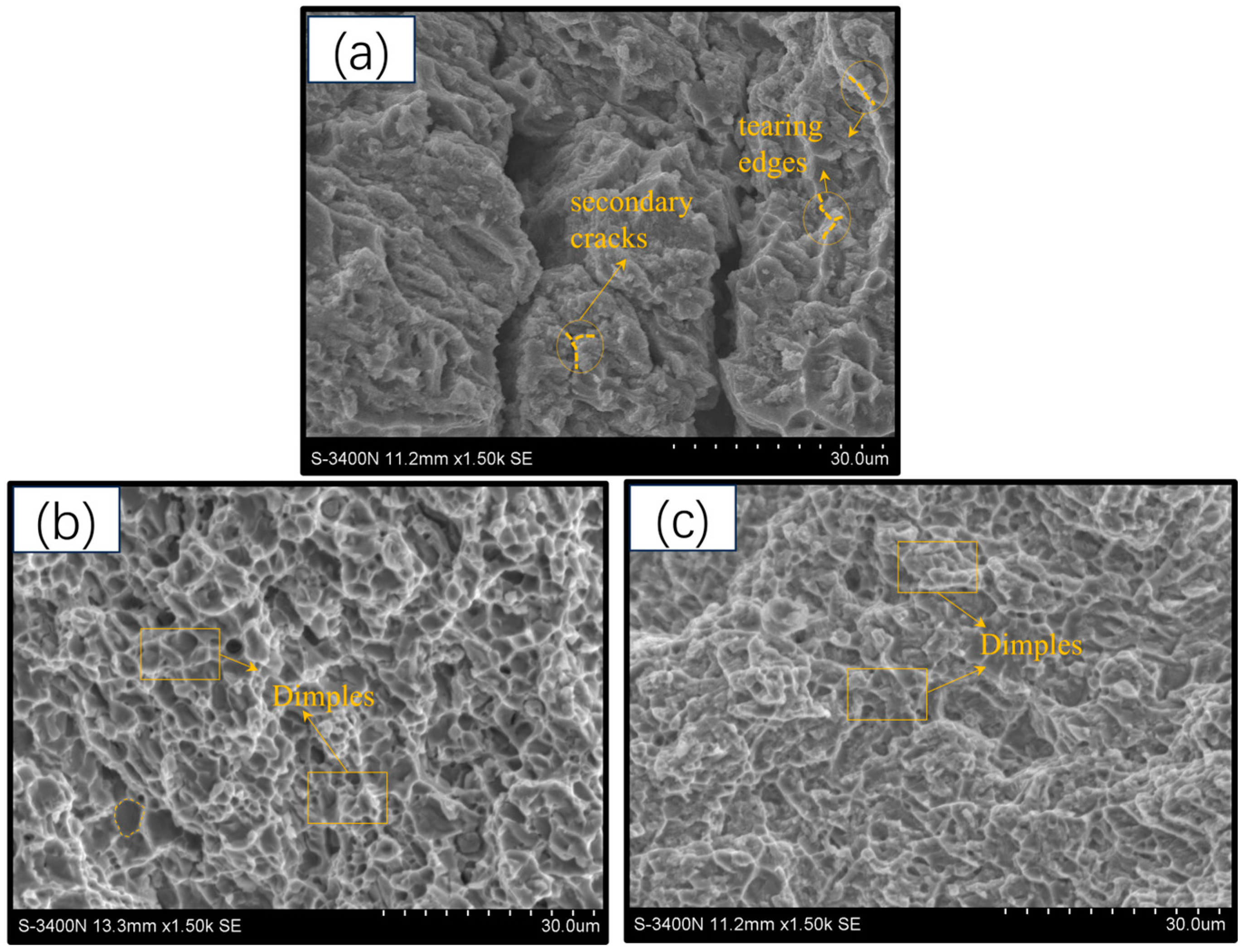 Coatings 14 01251 g007