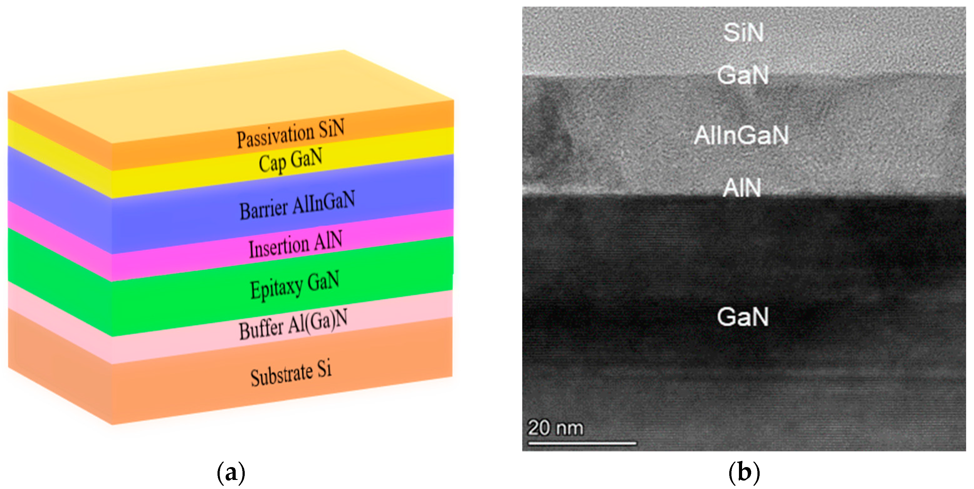 Coatings 14 01254 g001a