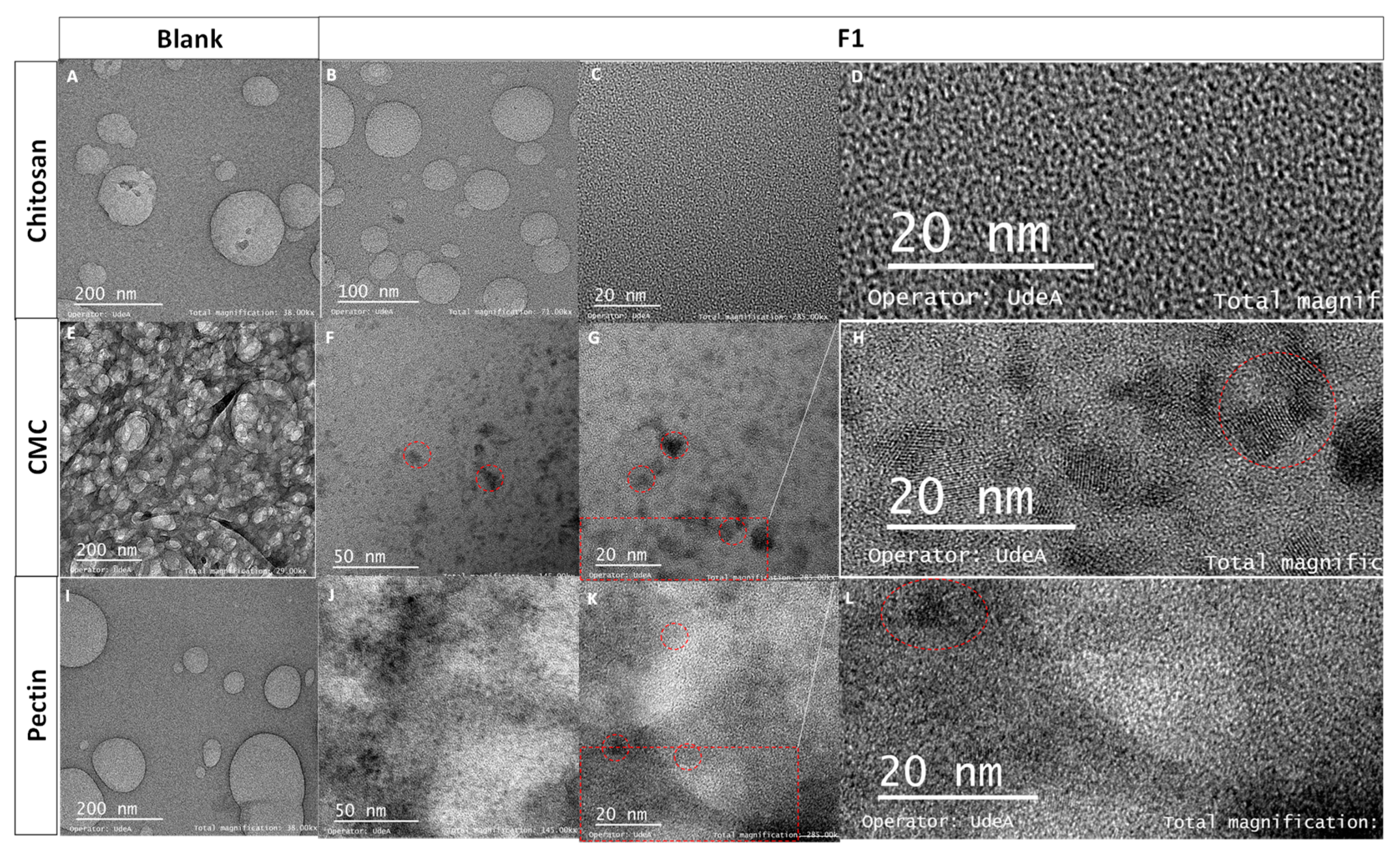 Coatings 14 01256 g002 Coatings 14 01256 g002