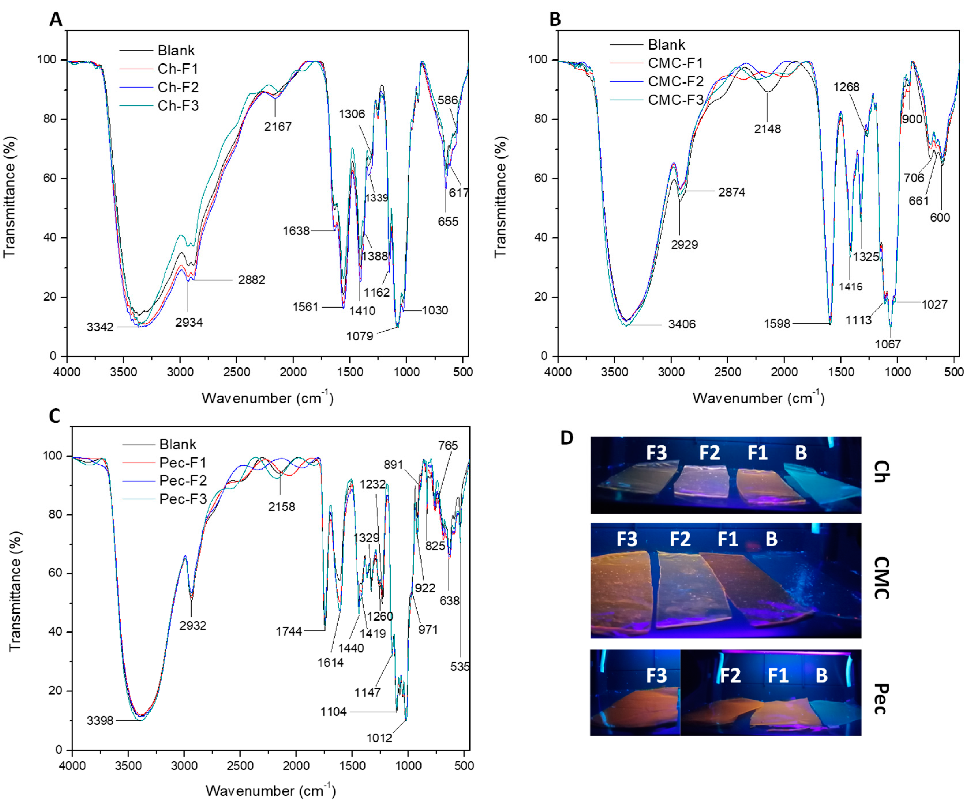 Coatings 14 01256 g003 Coatings 14 01256 g003