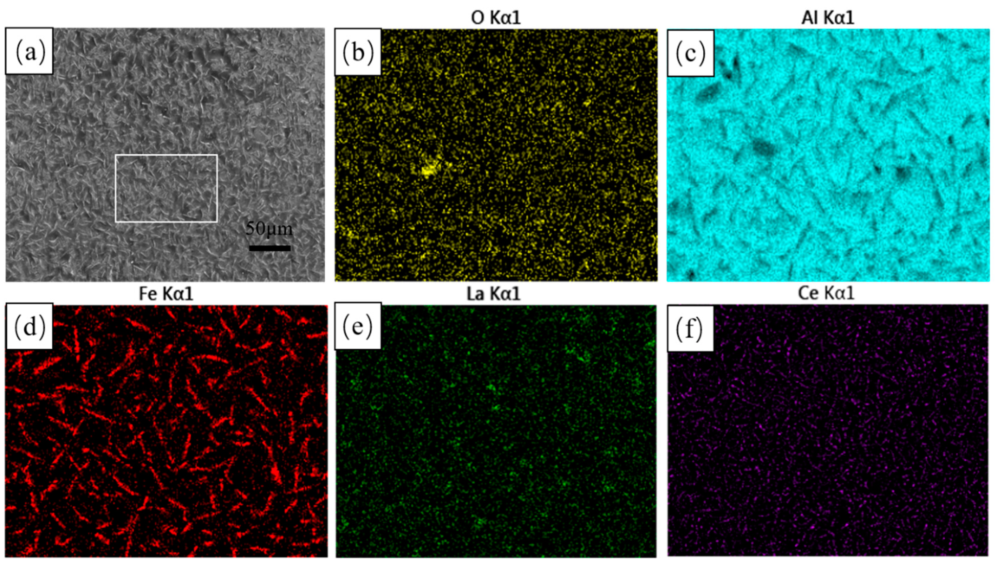 Coatings 14 01257 g001