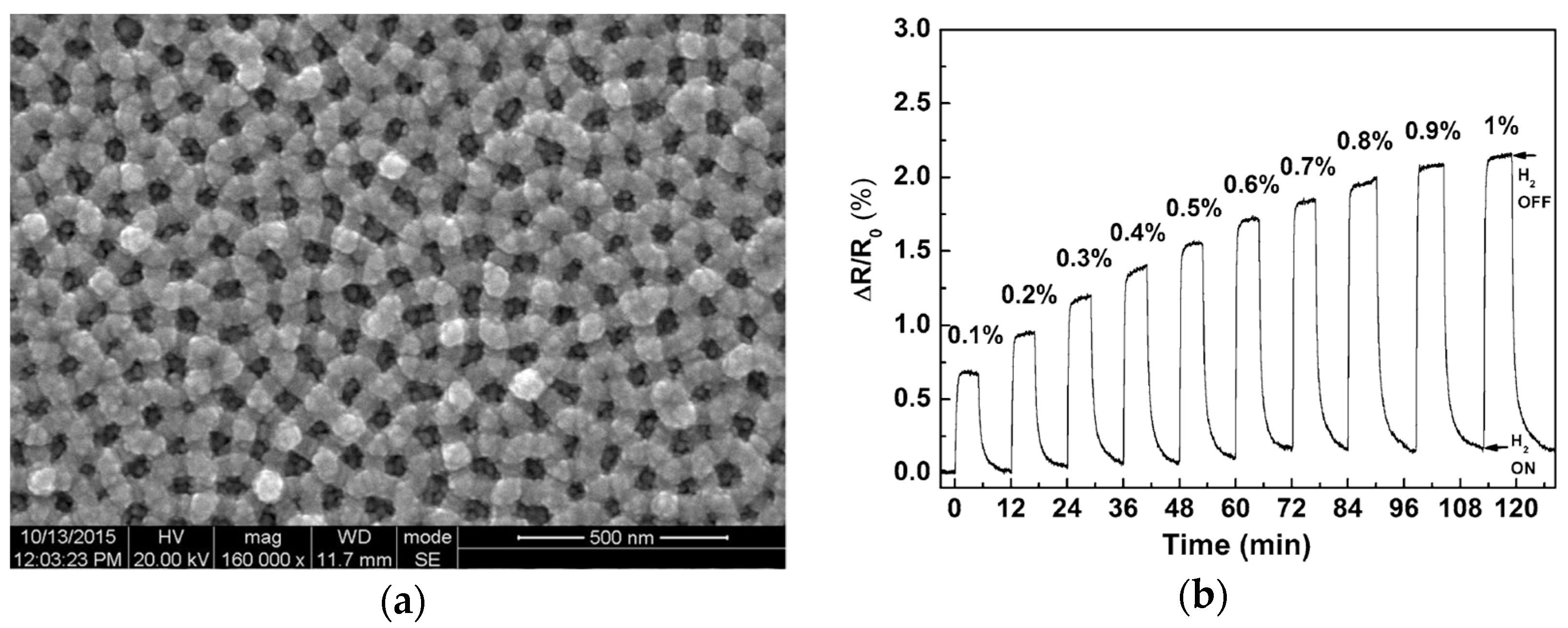 Coatings 14 01260 g006