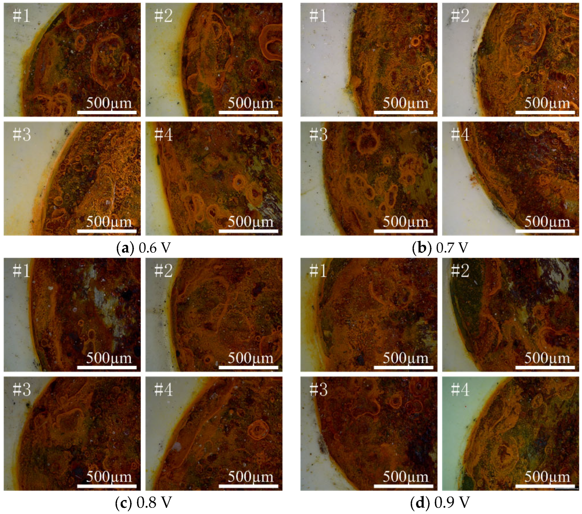 Coatings 14 01263 g007