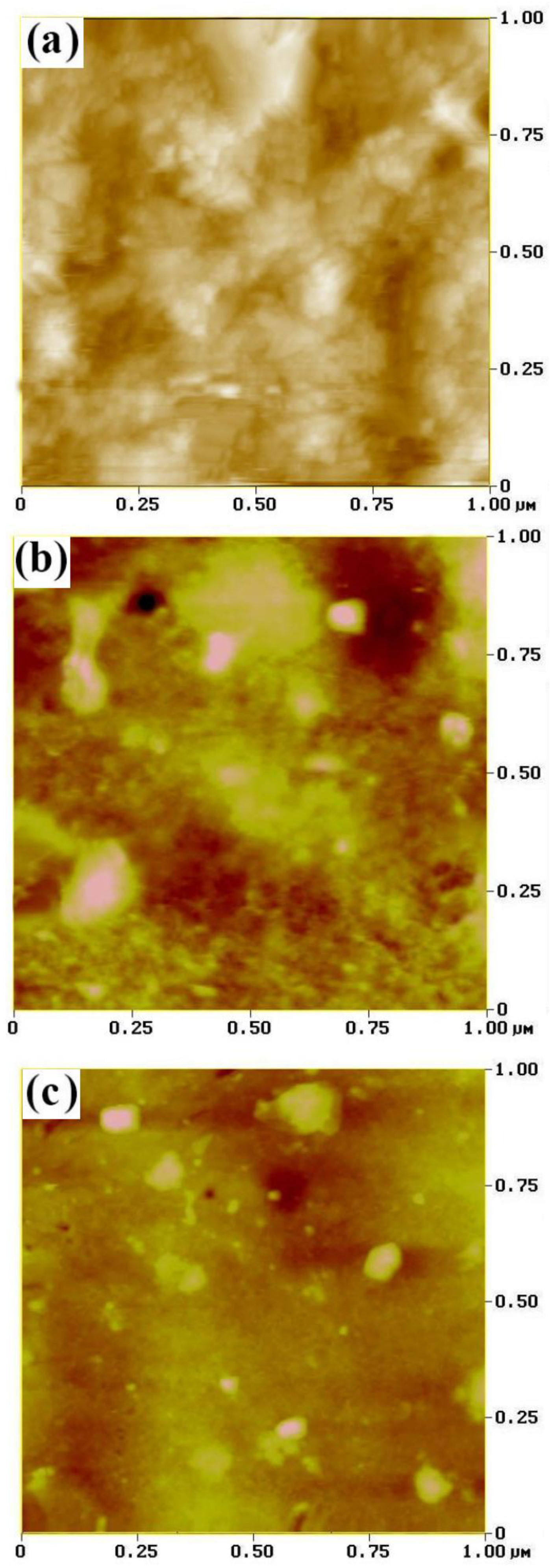 Coatings 14 01272 g005