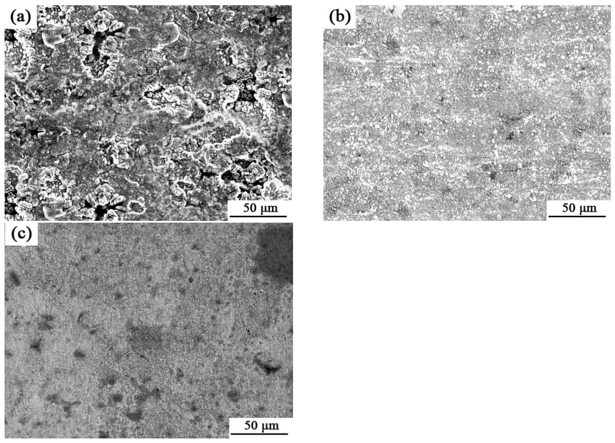 Coatings 14 01272 g009