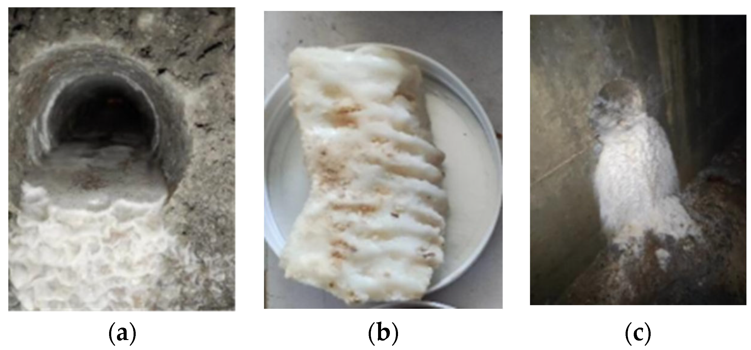 Coatings 14 01273 g001