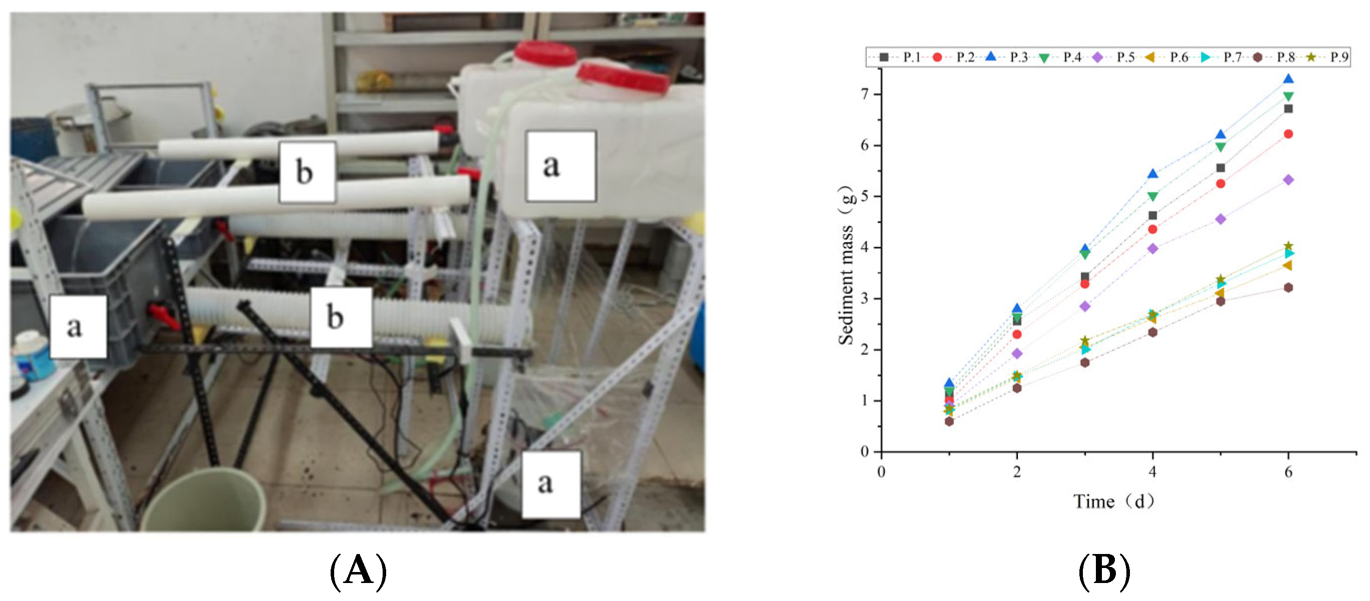 Coatings 14 01273 g003