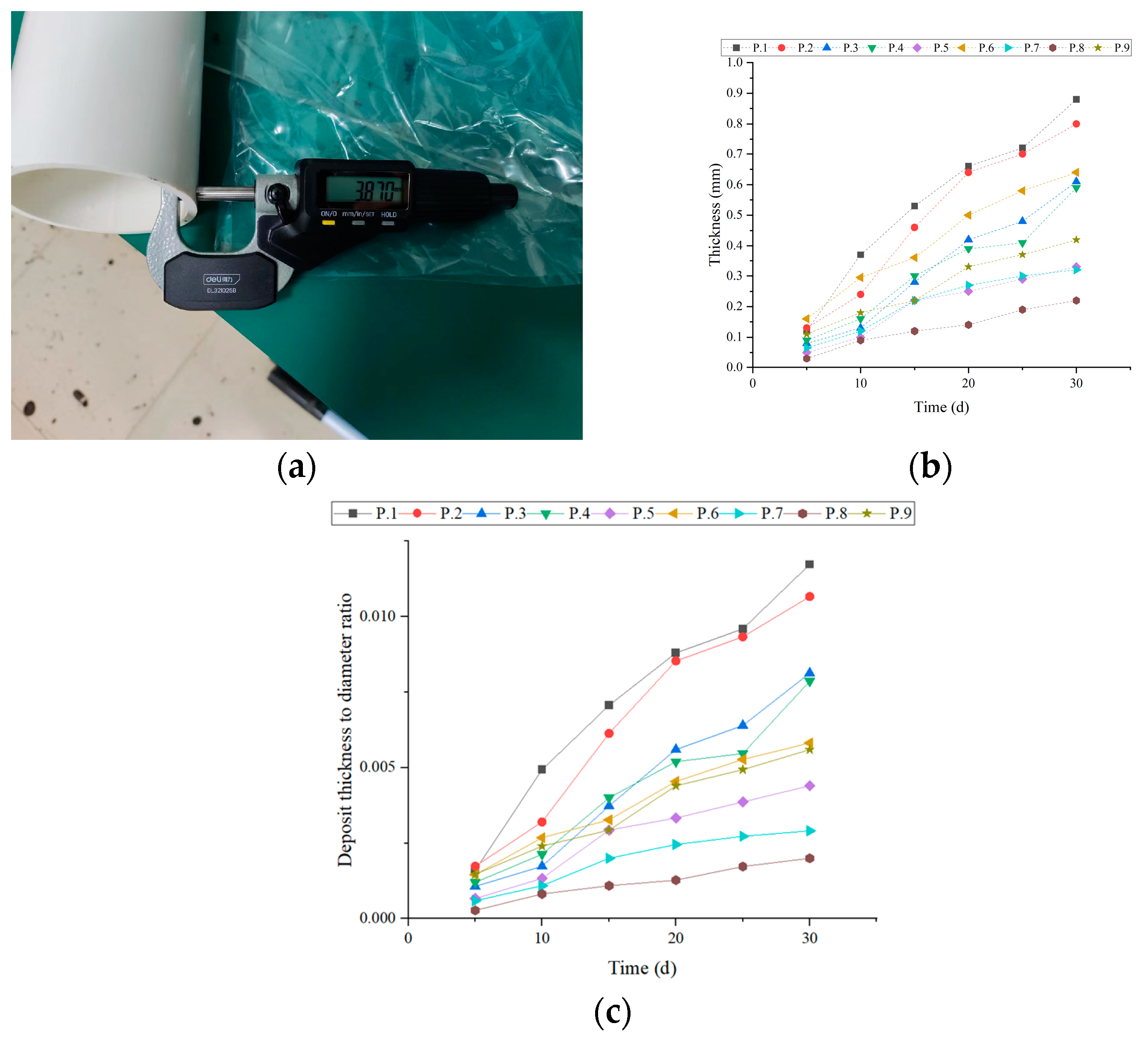 Coatings 14 01273 g005