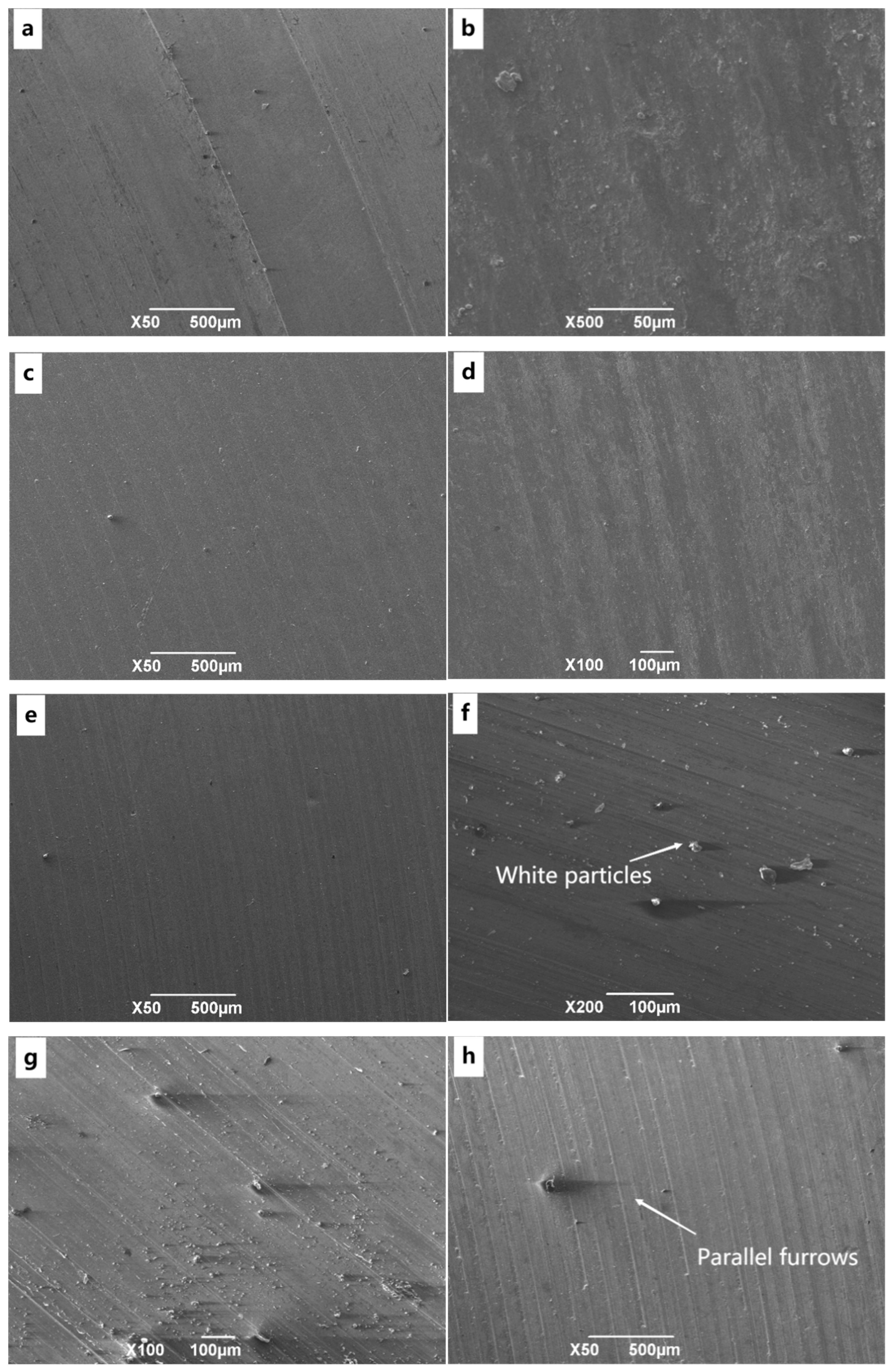 Coatings 14 01274 g005