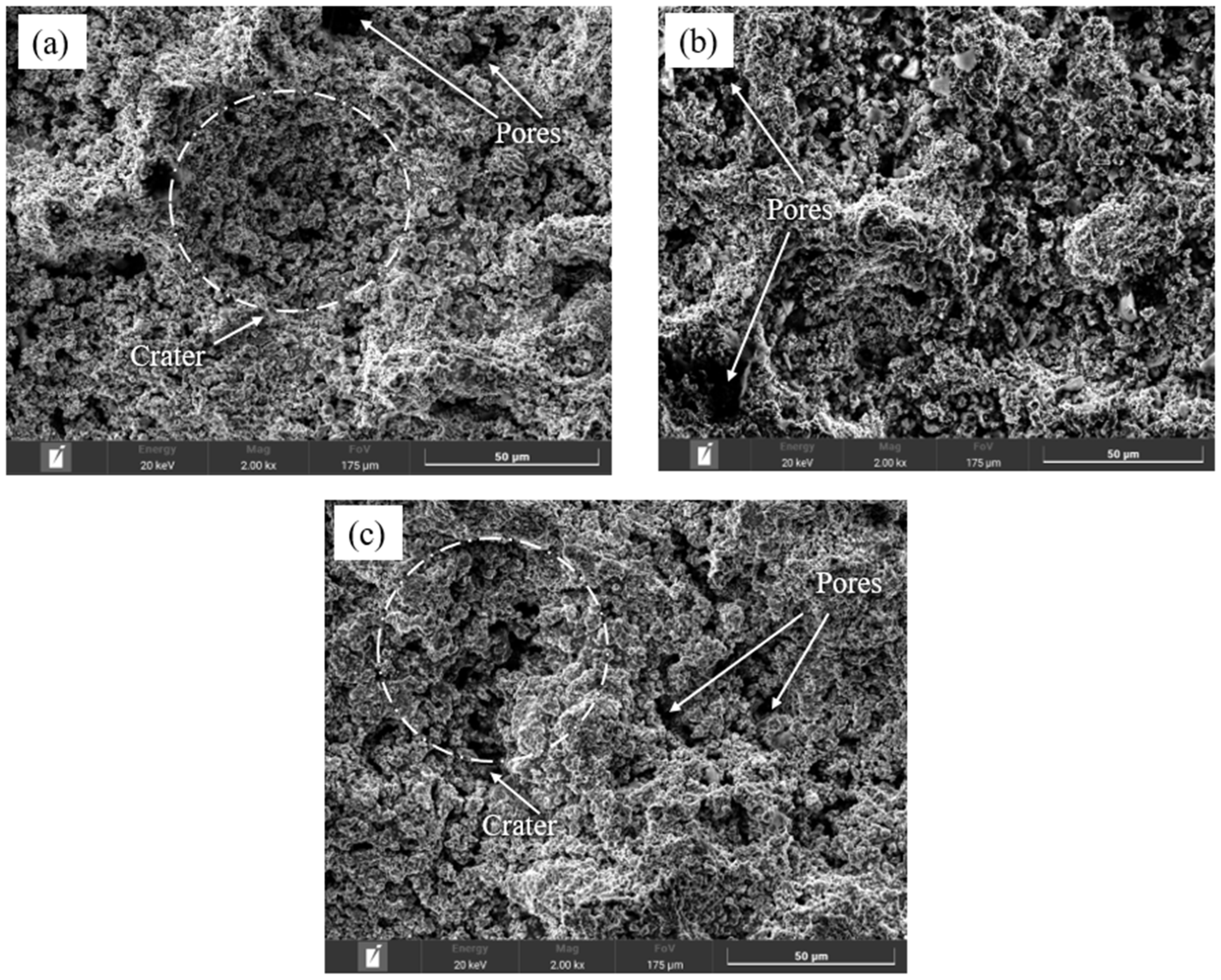 Coatings 14 01275 g002 Coatings 14 01275 g002