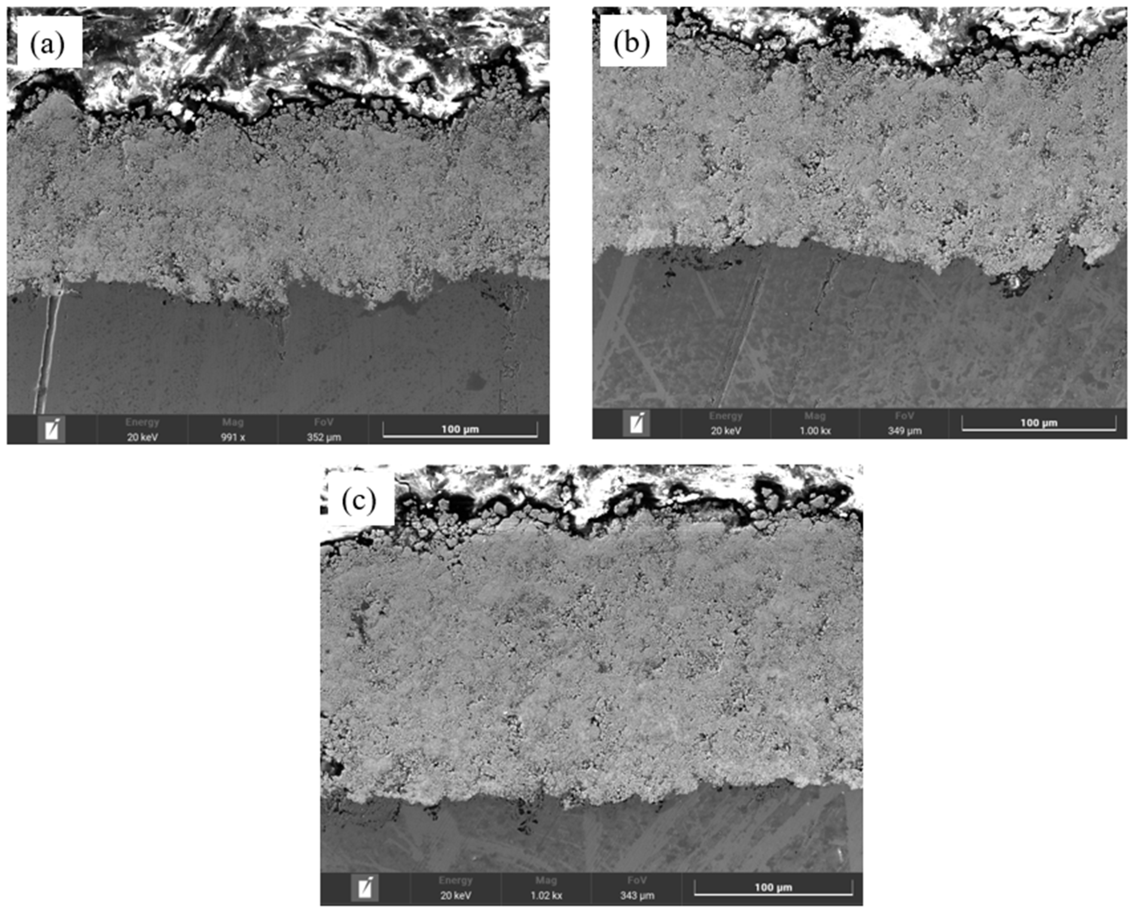 Coatings 14 01275 g004 Coatings 14 01275 g004