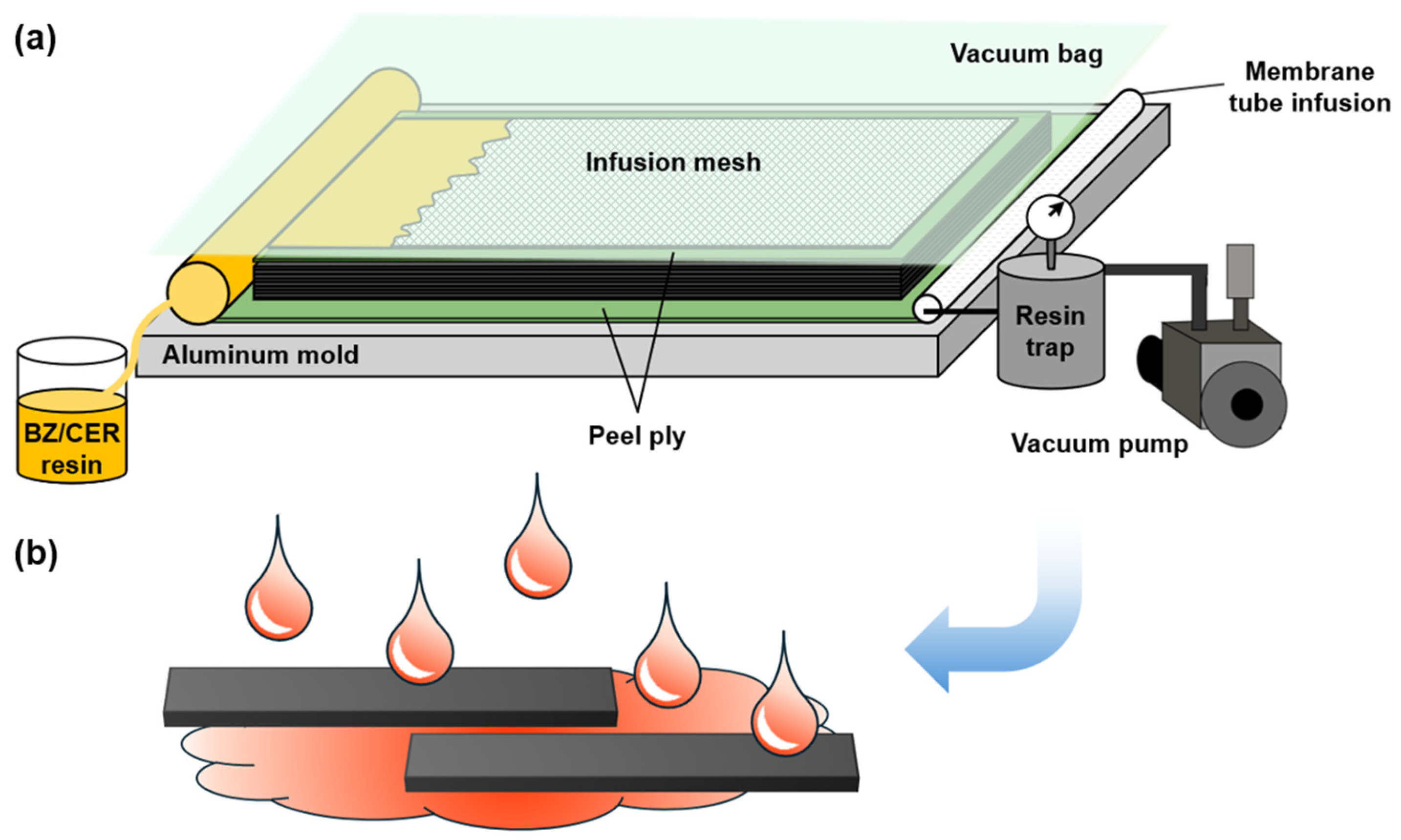 Coatings 14 01279 g001