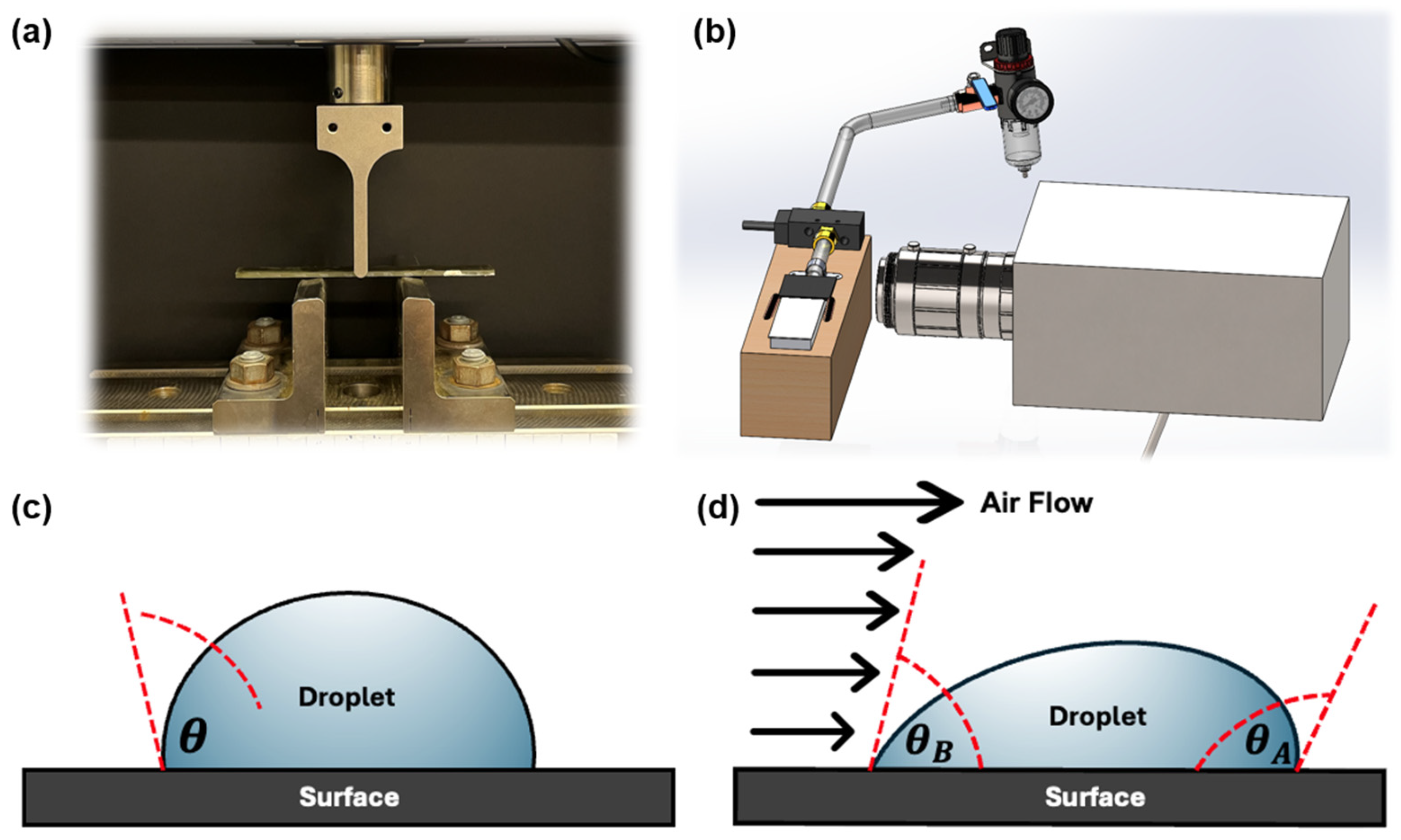 Coatings 14 01279 g002