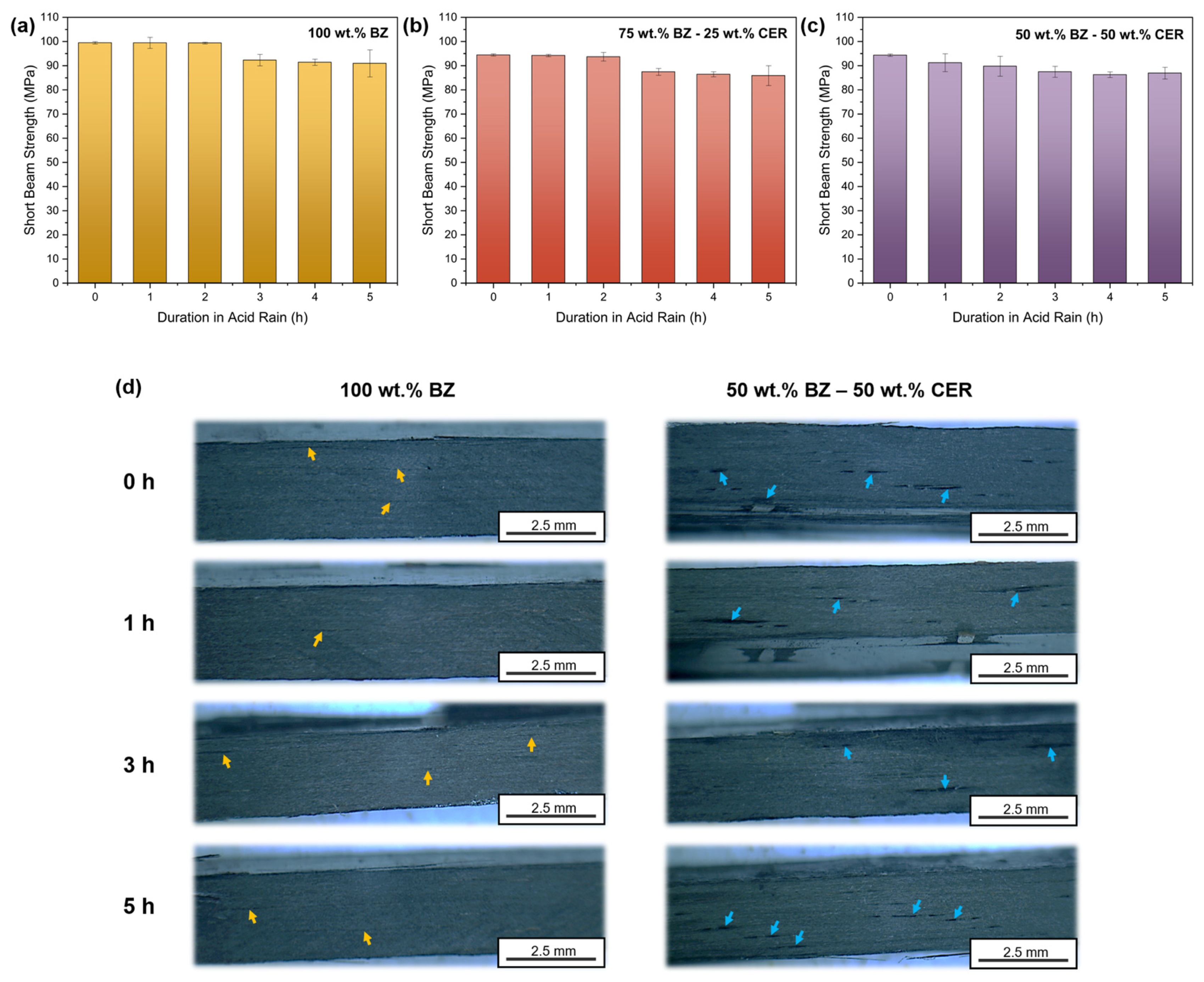 Coatings 14 01279 g005