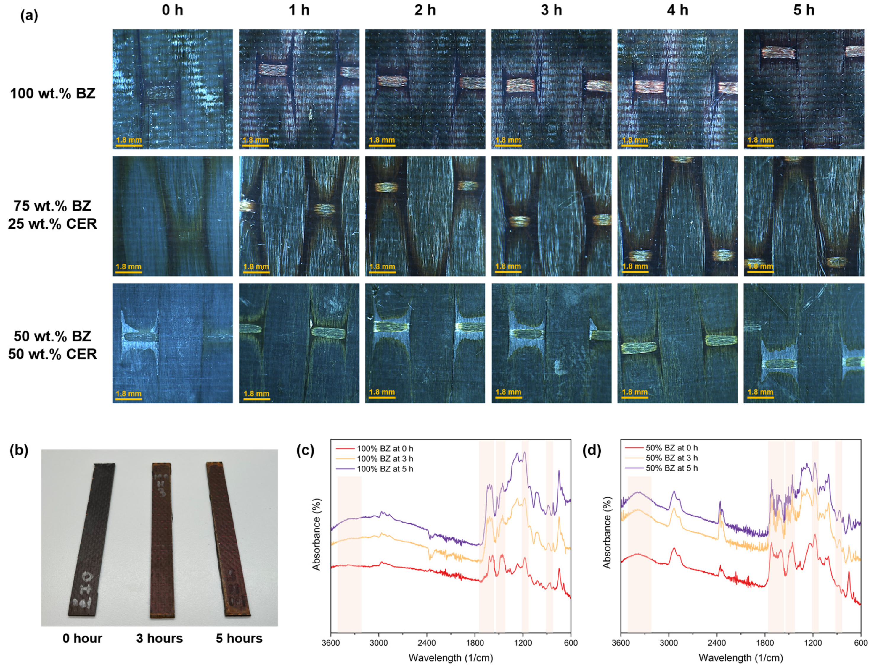 Coatings 14 01279 g006