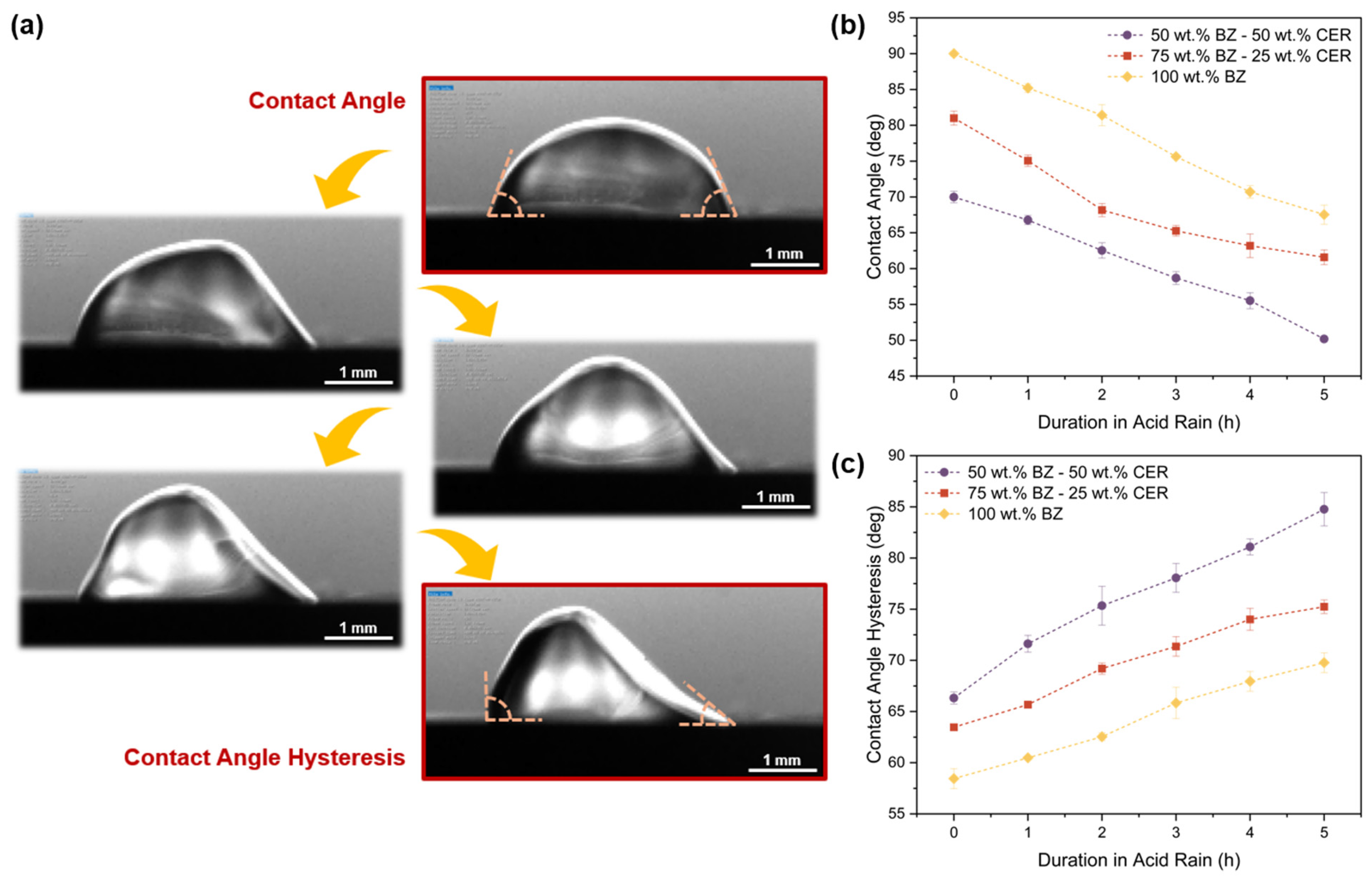 Coatings 14 01279 g007