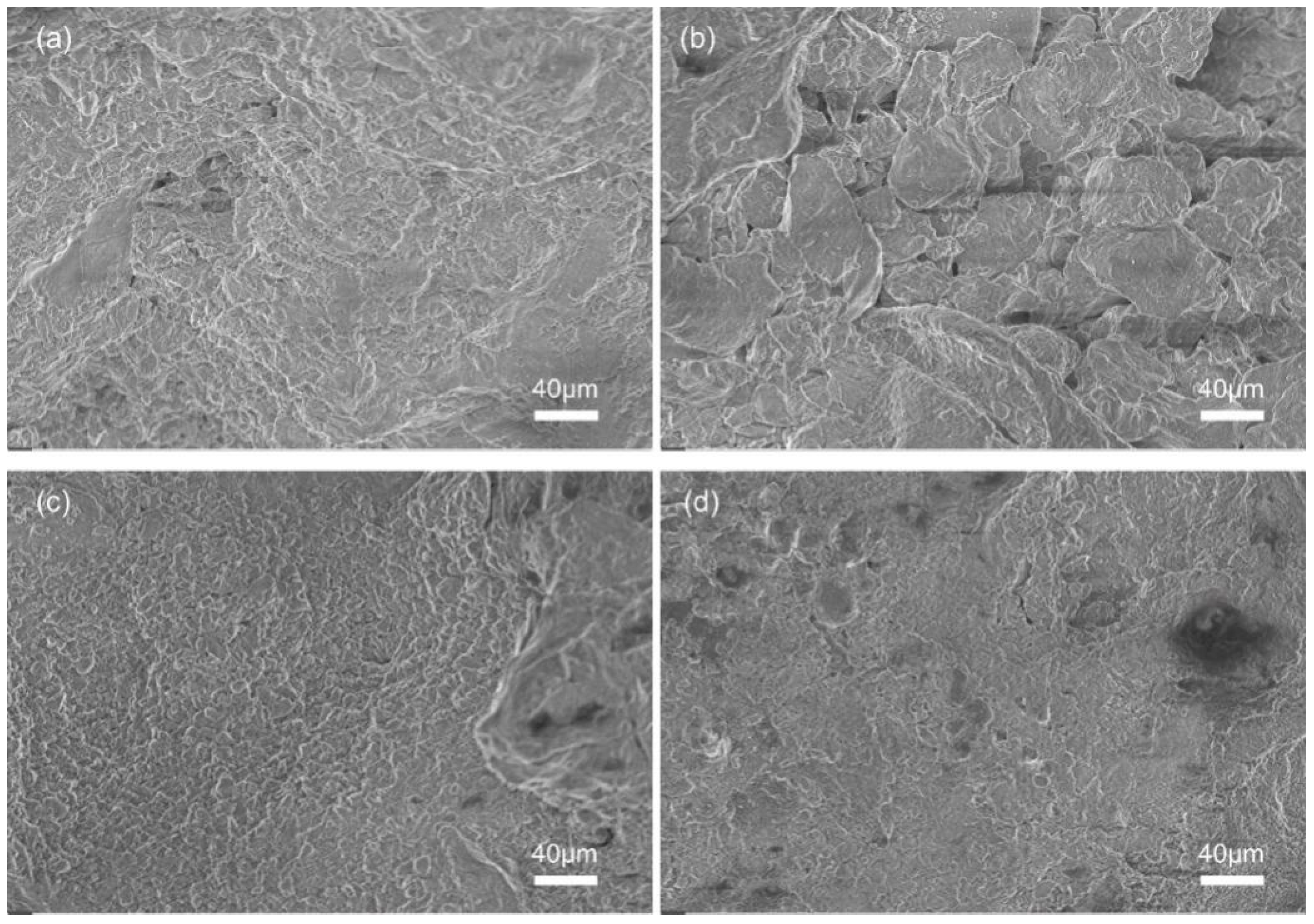 Coatings 14 01282 g007