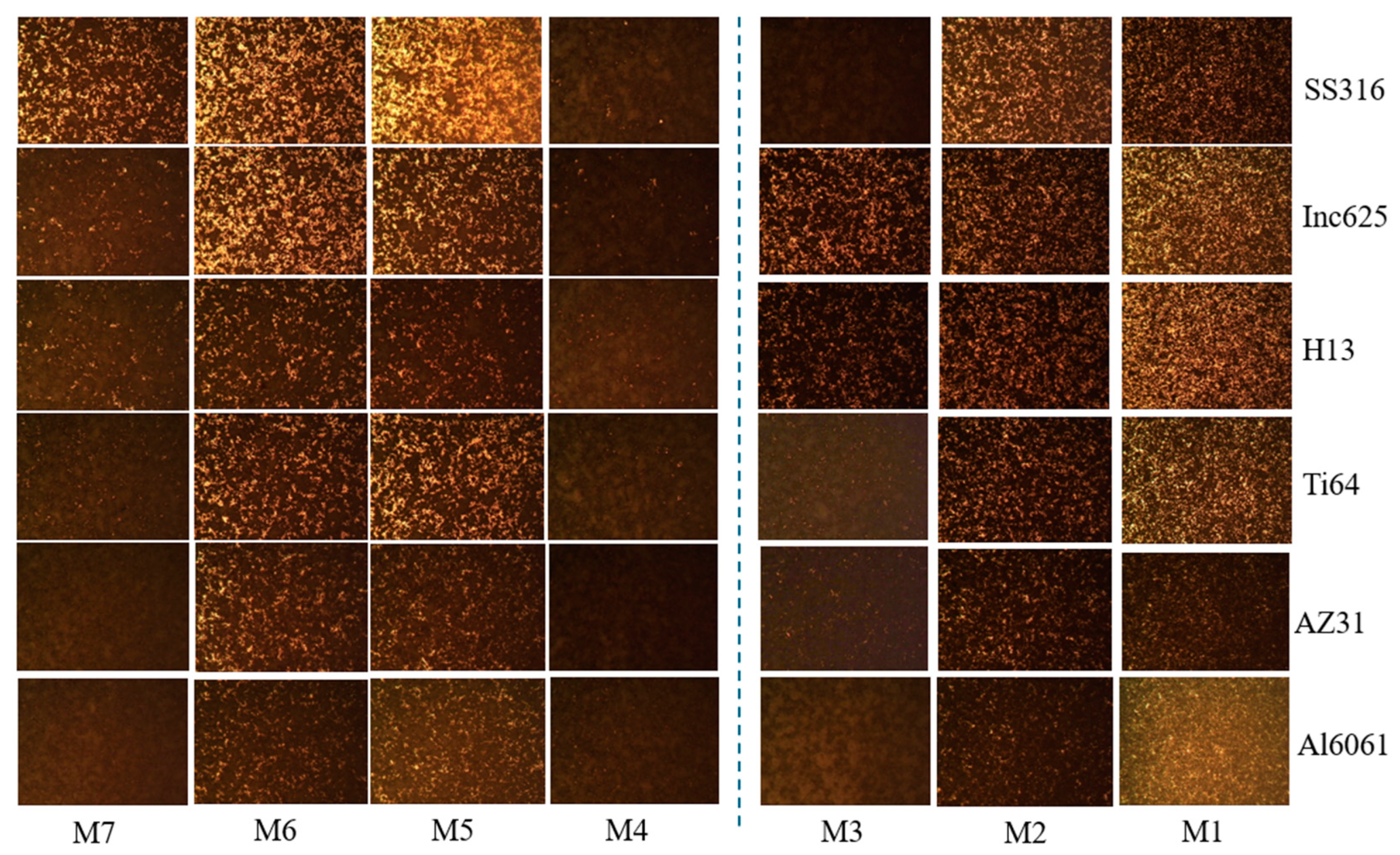 Coatings 14 01302 g004