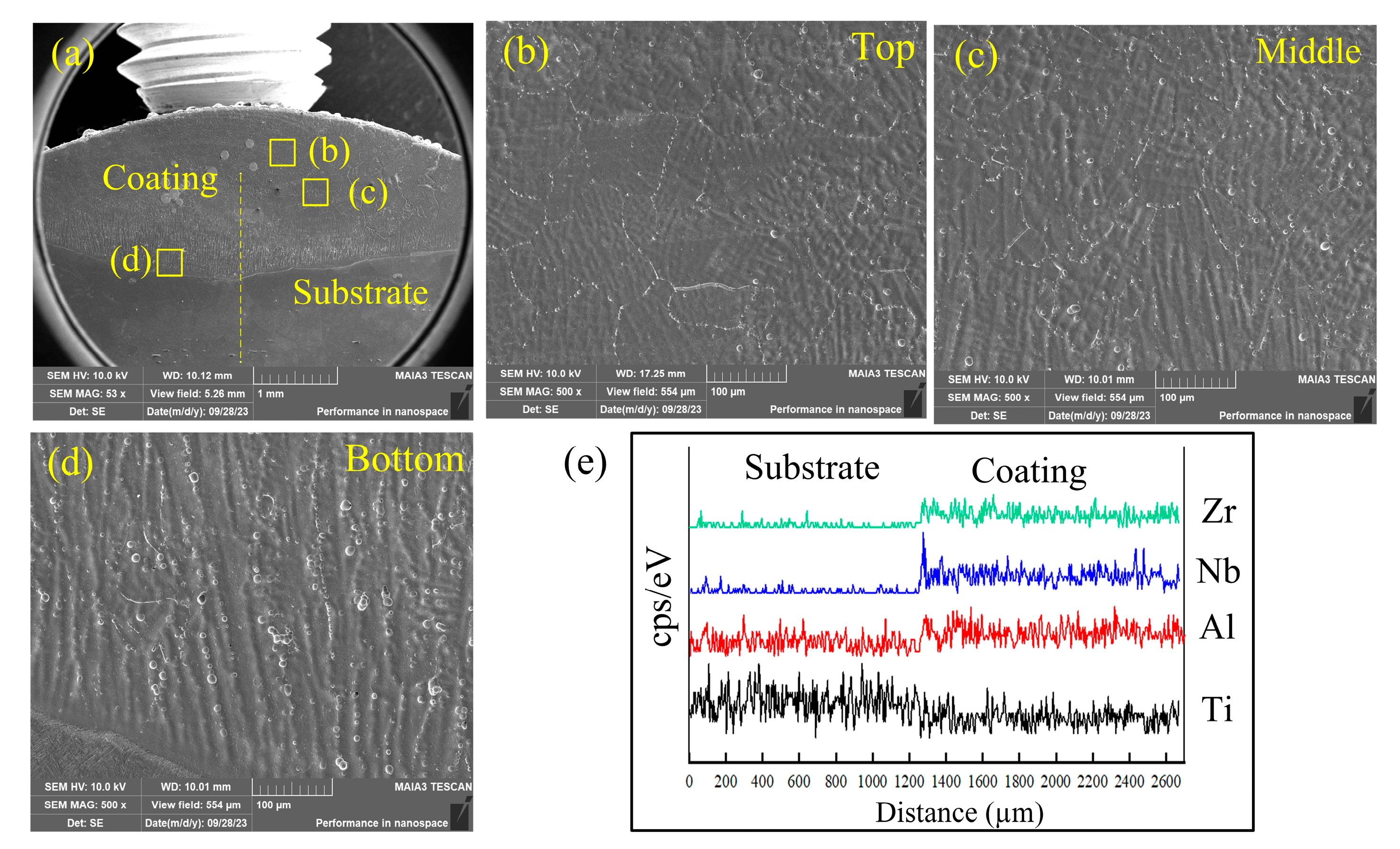 Coatings 14 01319 g007
