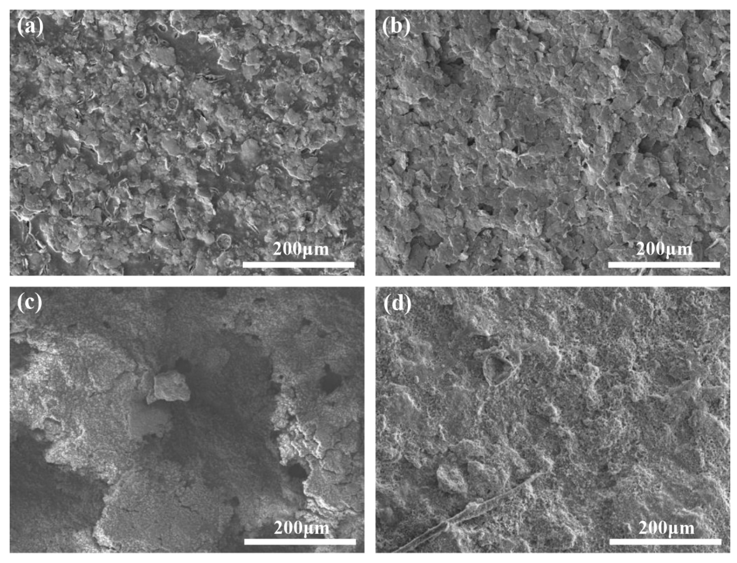 Coatings 14 01321 g007