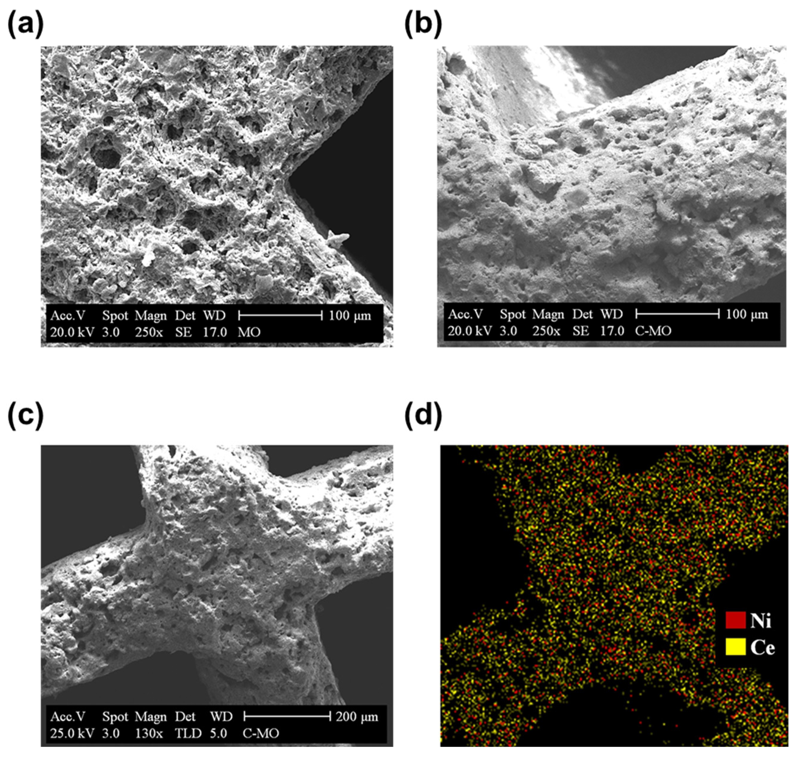 Coatings 14 01322 g007