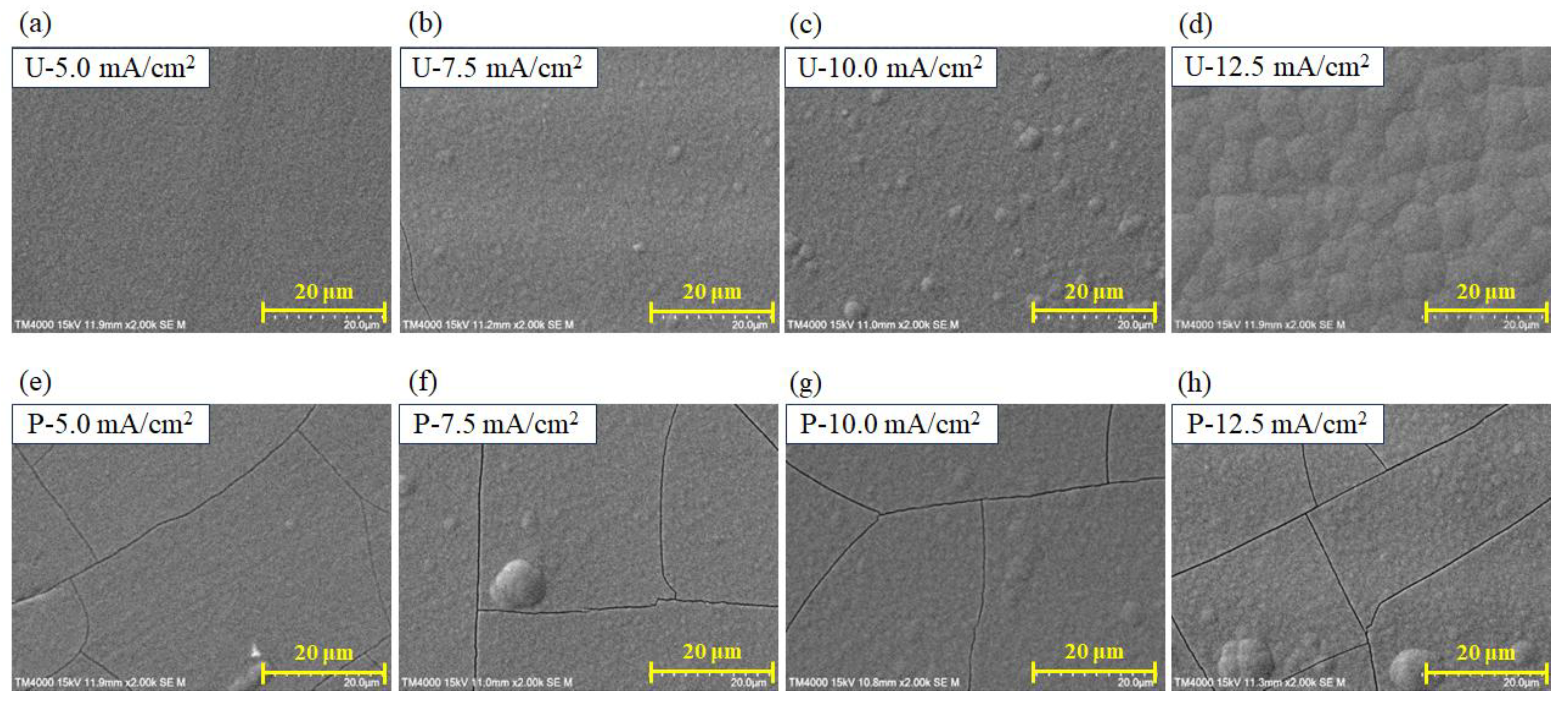 Coatings 14 01340 g006