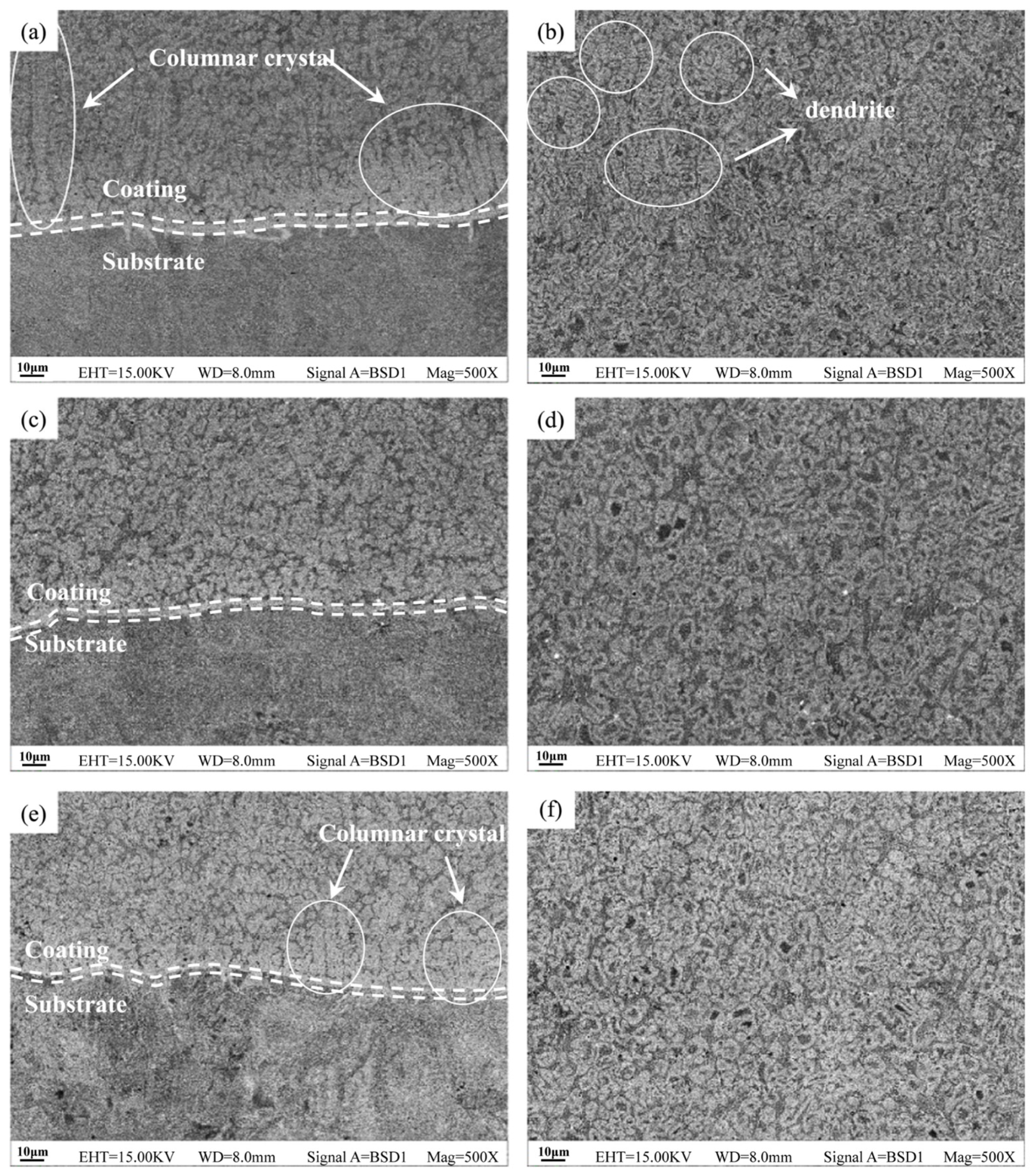 Coatings 14 01351 g004