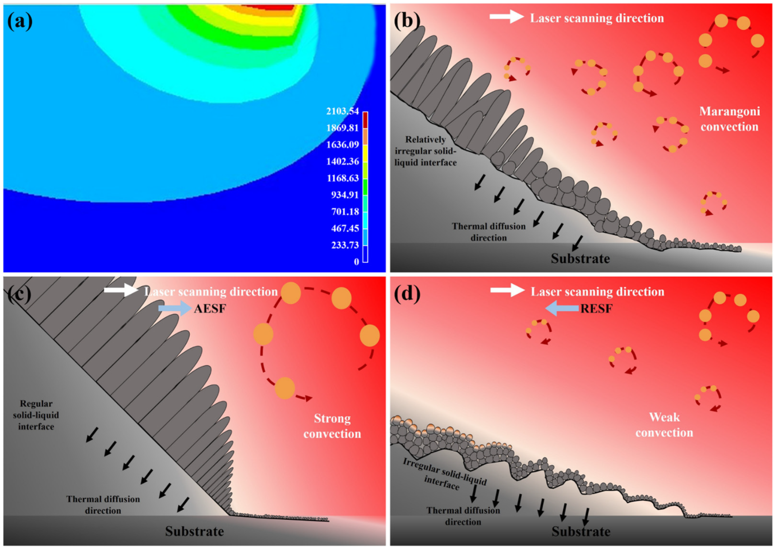 Coatings 14 01351 g009