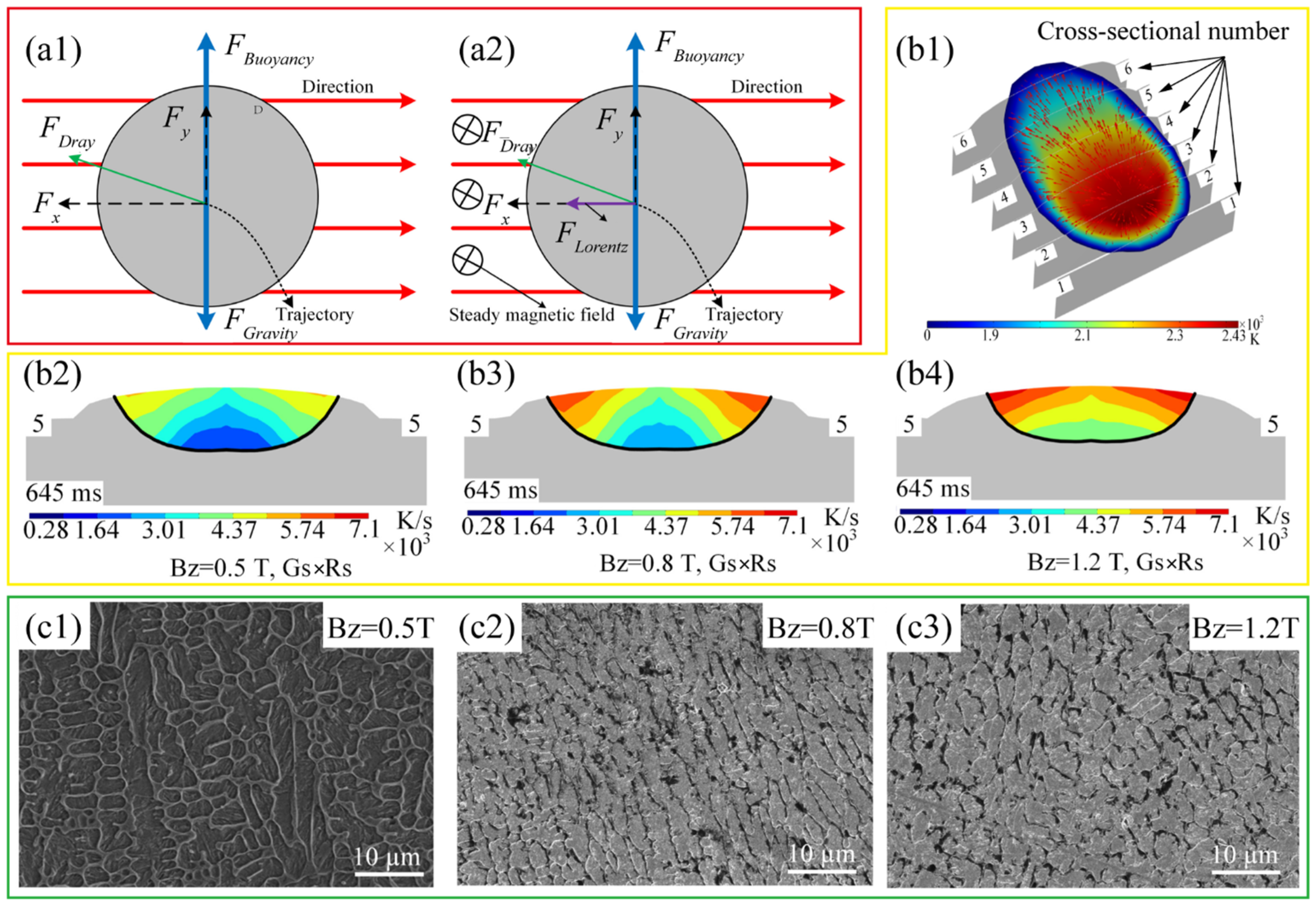 Coatings 14 01351 g010