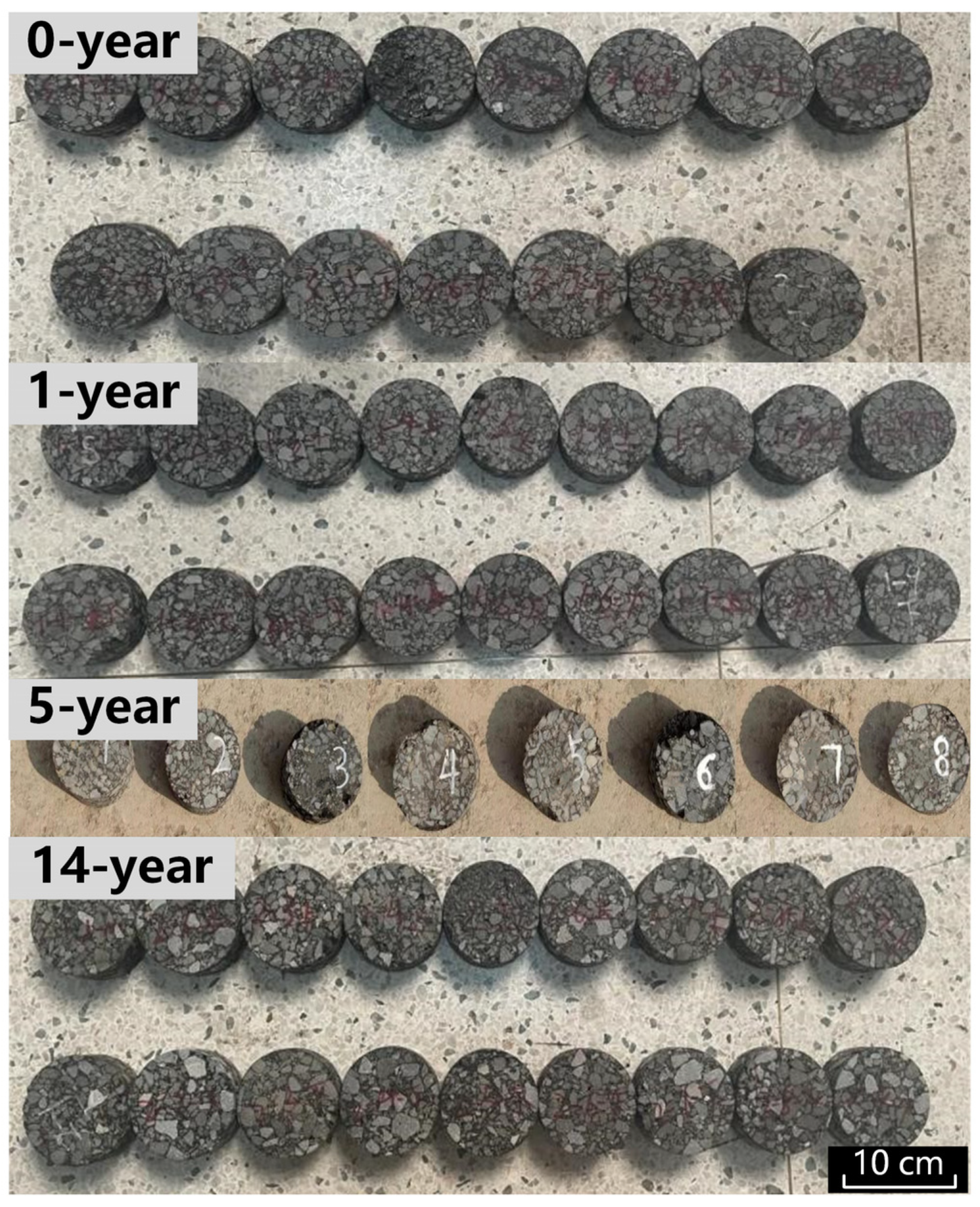 Coatings 14 01363 g004 Coatings 14 01363 g004