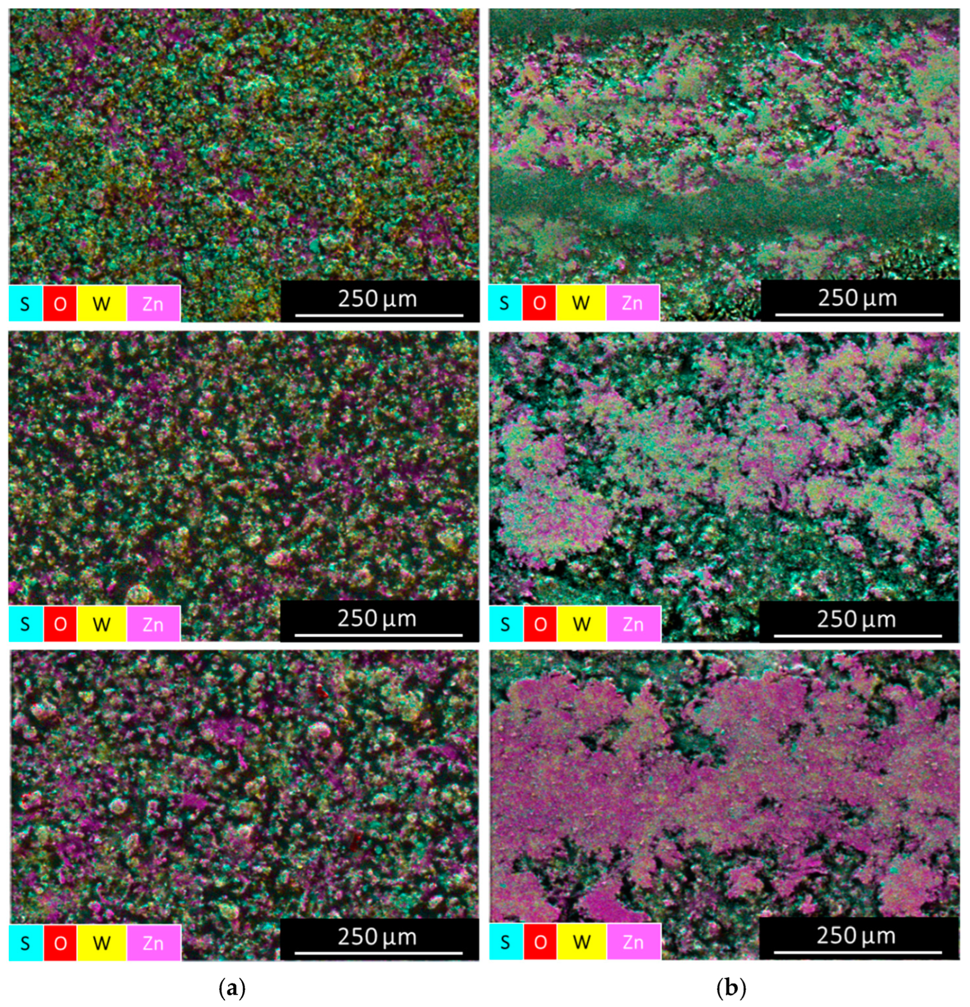 Coatings 14 01365 g010